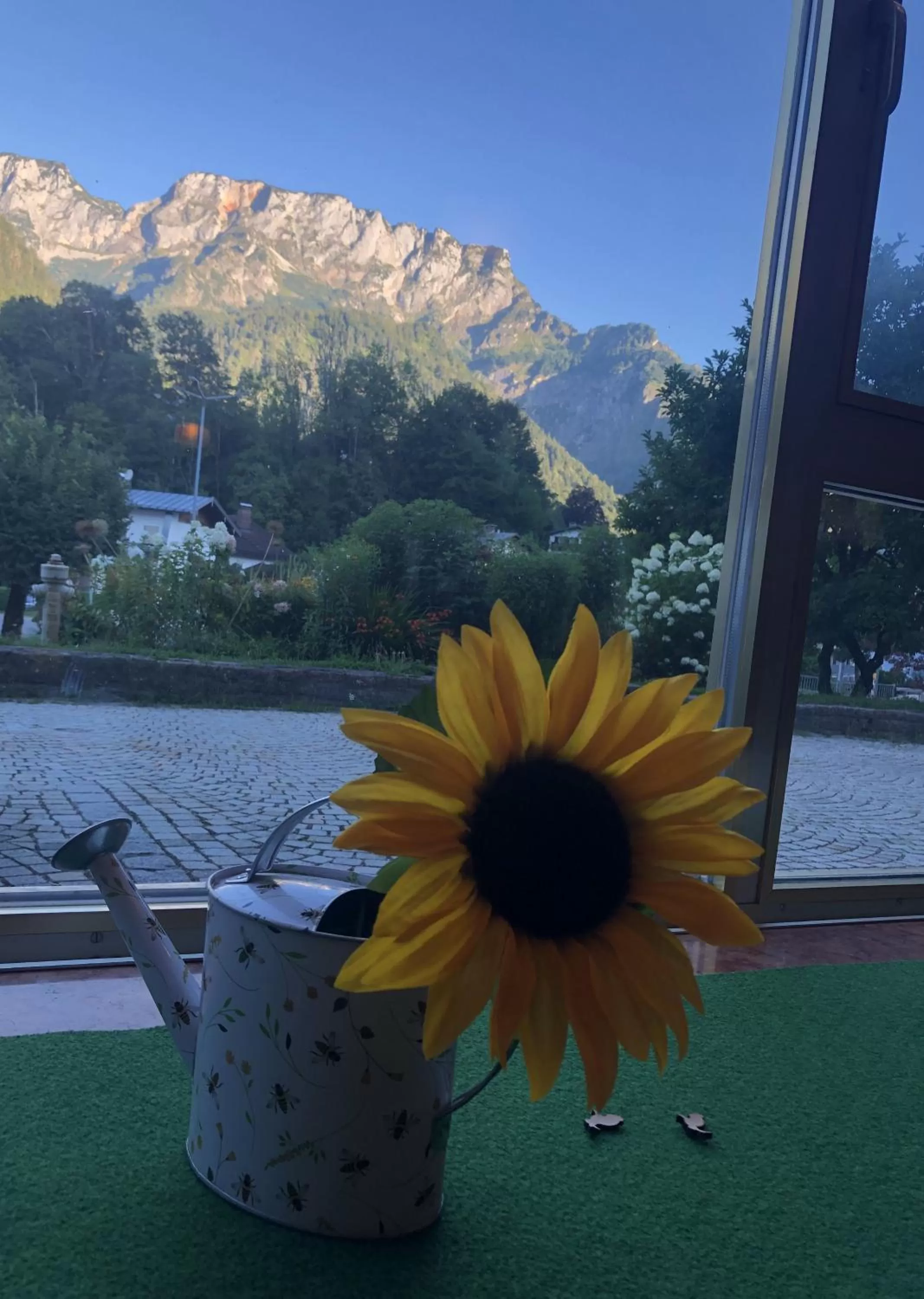 Swimming Pool in Pension und Ferienwohnung Frech