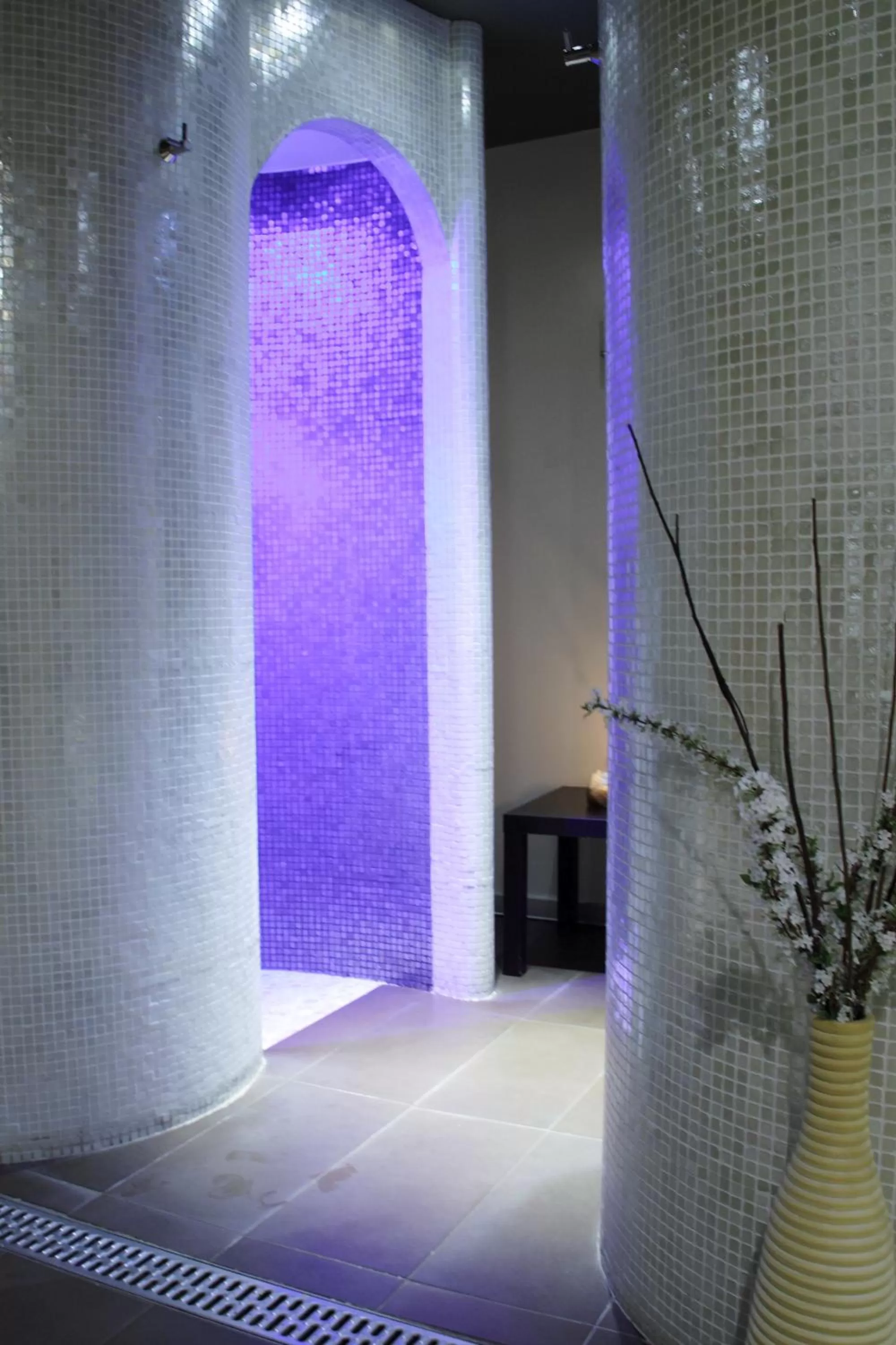 Spa and wellness centre/facilities in Hotel Pineta Wellness & Spa