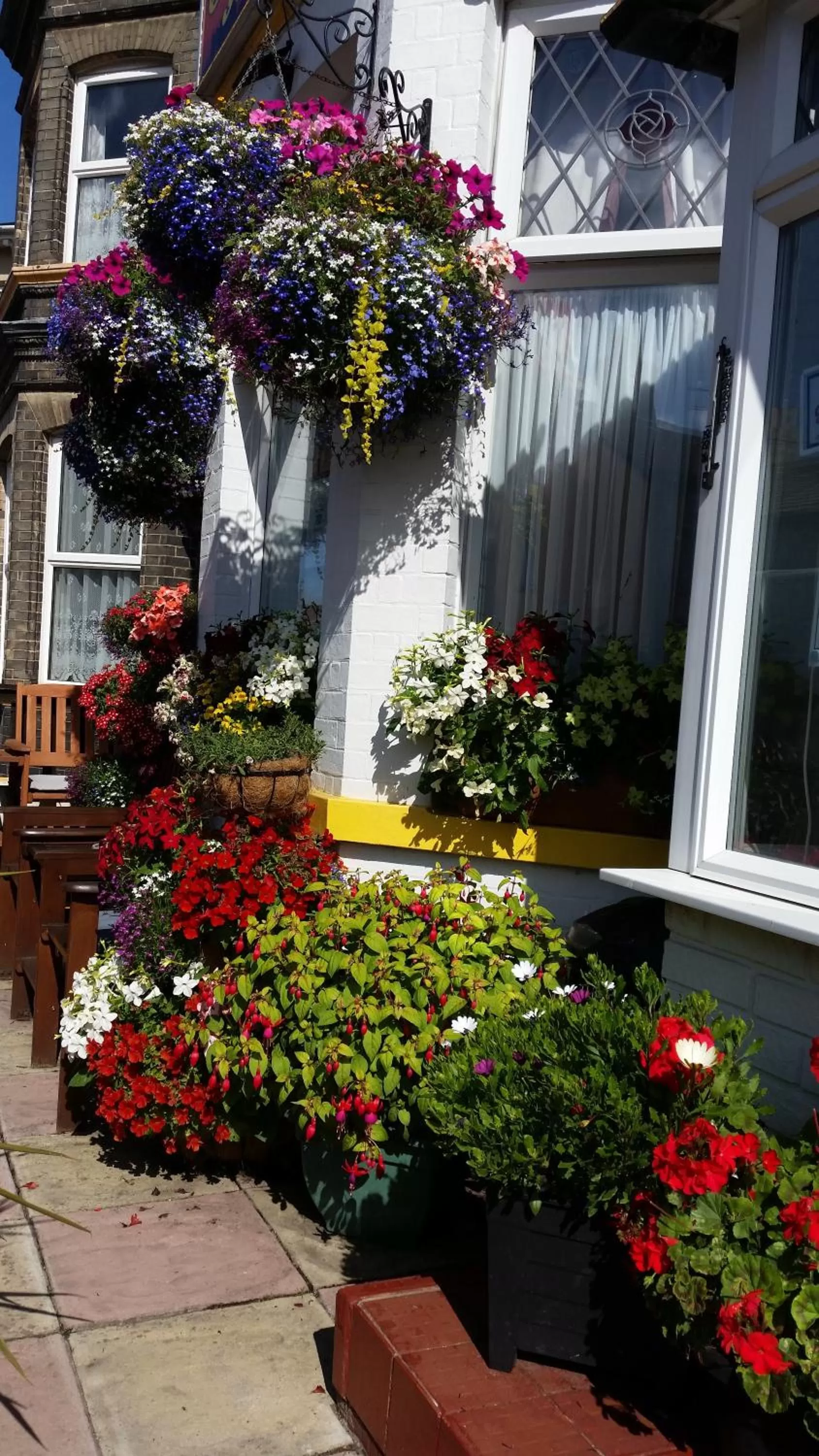 Natural landscape in Sunnyside Hotel