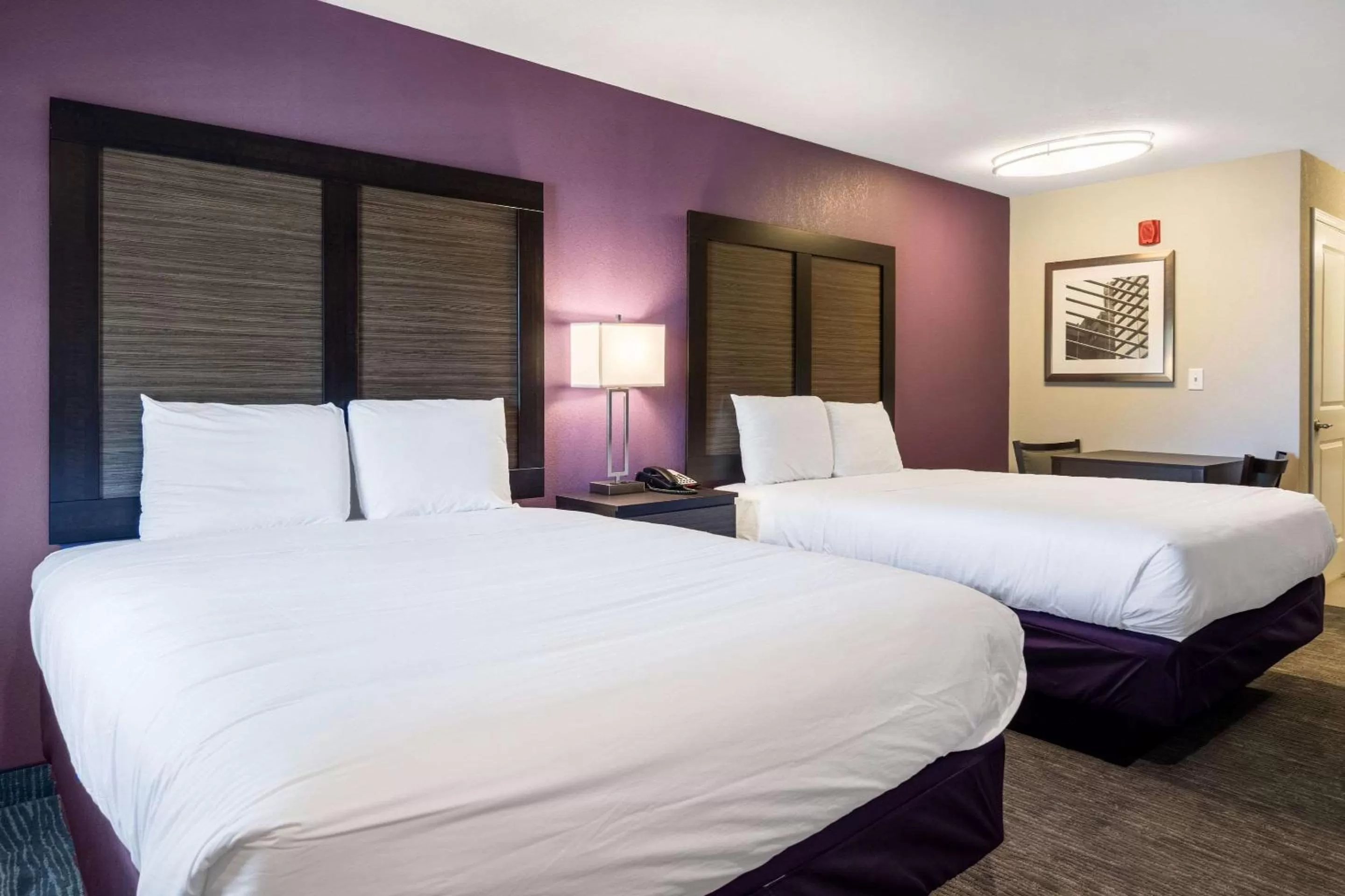 Photo of the whole room, Bed in Econo Lodge Inn & Suites North Little Rock near Riverfront