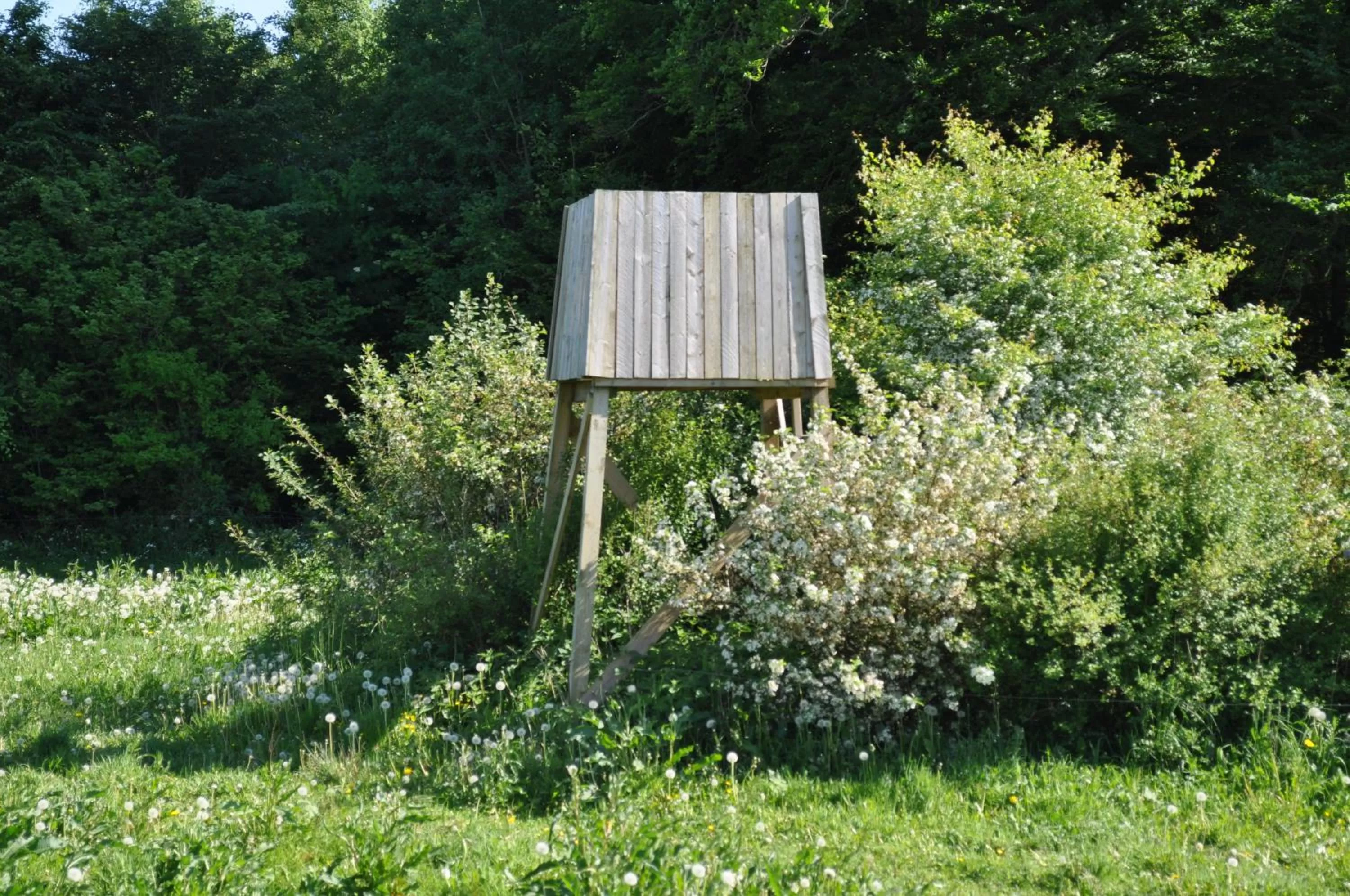 Area and facilities, Garden in Koebenhovedskov Bed & Breakfast