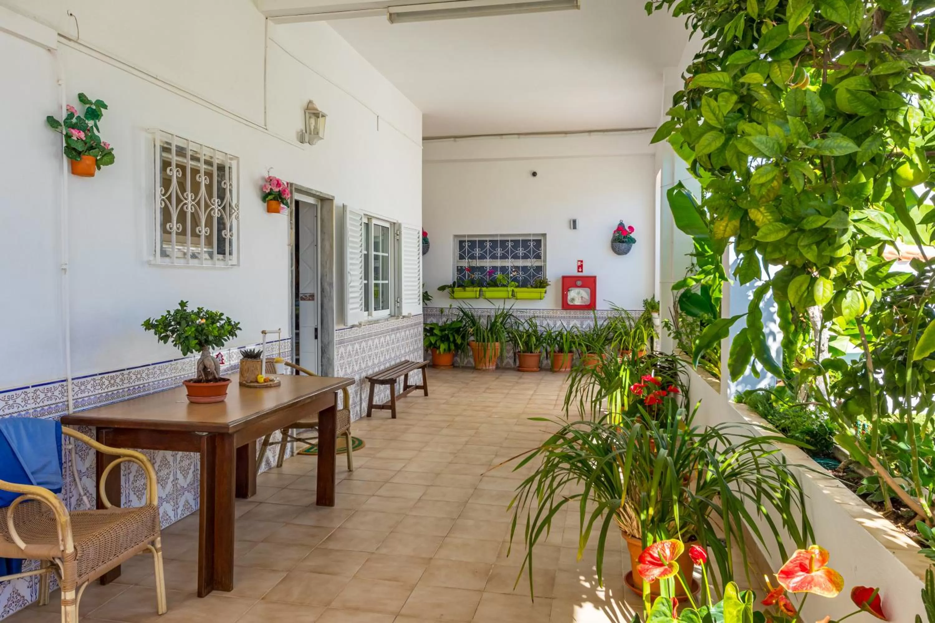 Apartamentos Carruna