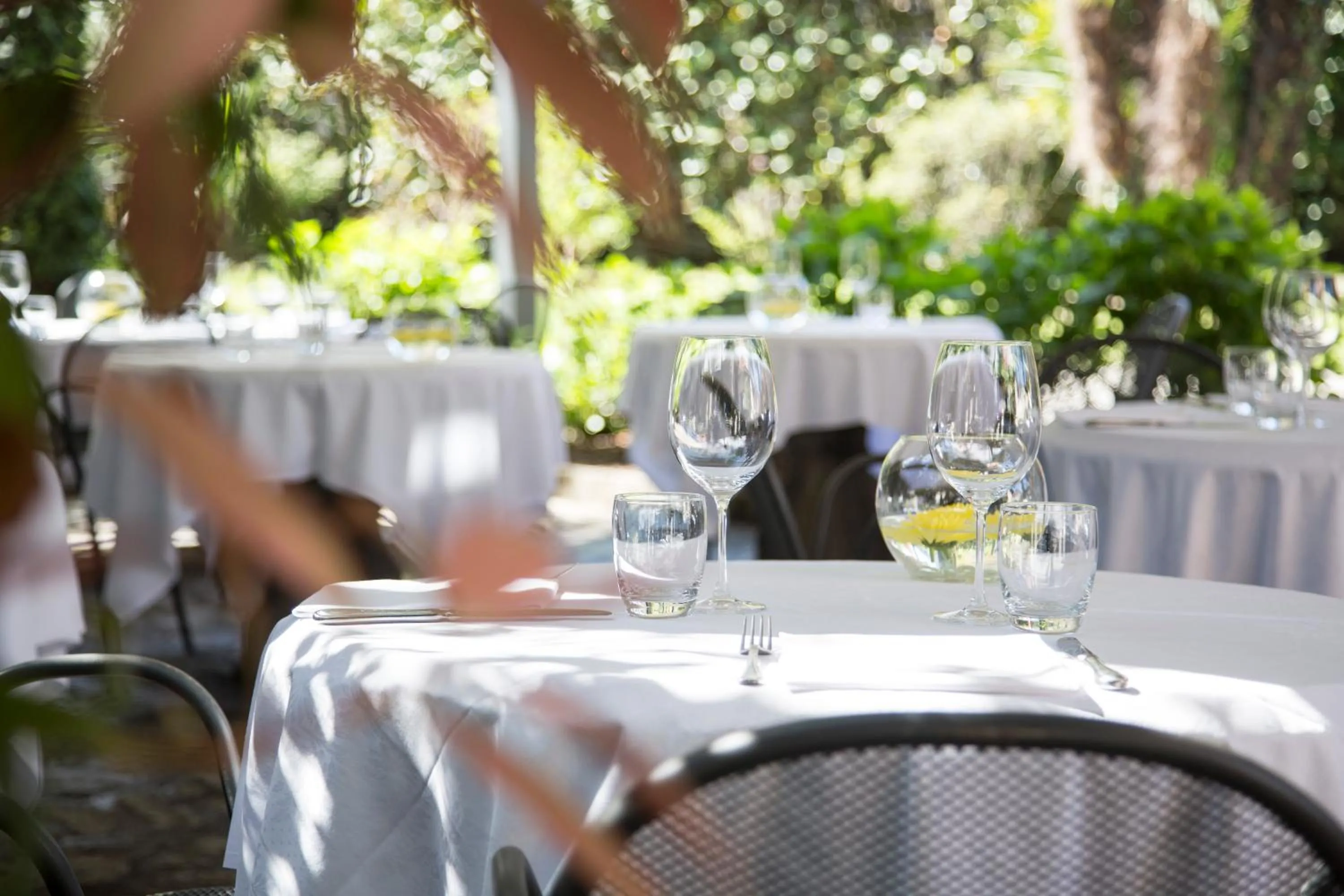 Restaurant/places to eat in Hotel Serenella