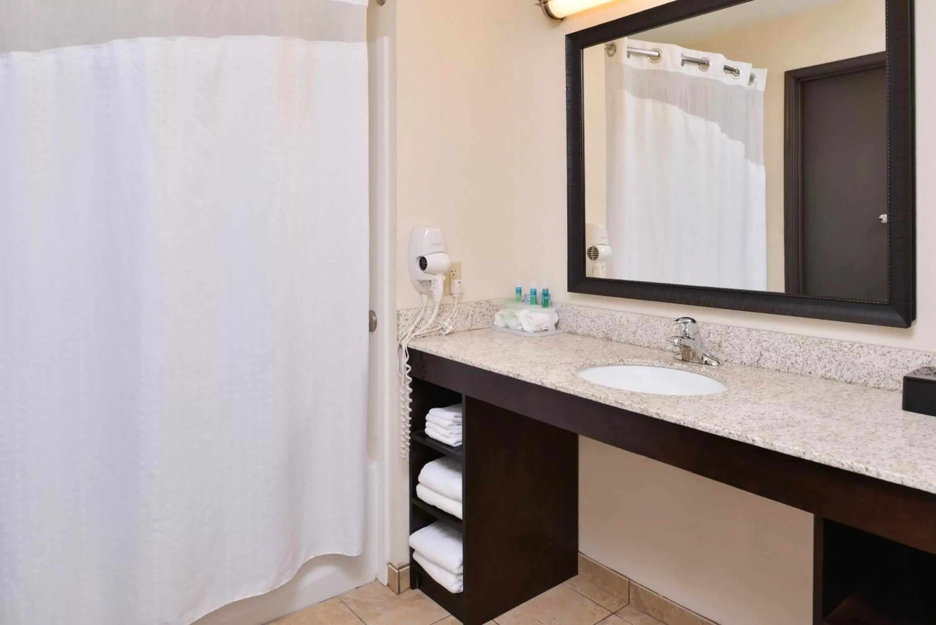 King Room with Roll-In Shower - Disability Access in Holiday Inn Express & Suites Emporia Northwest by IHG King Room with Roll-In Shower - Disability Access in Holiday Inn Express & Suites Emporia Northwest by IHG