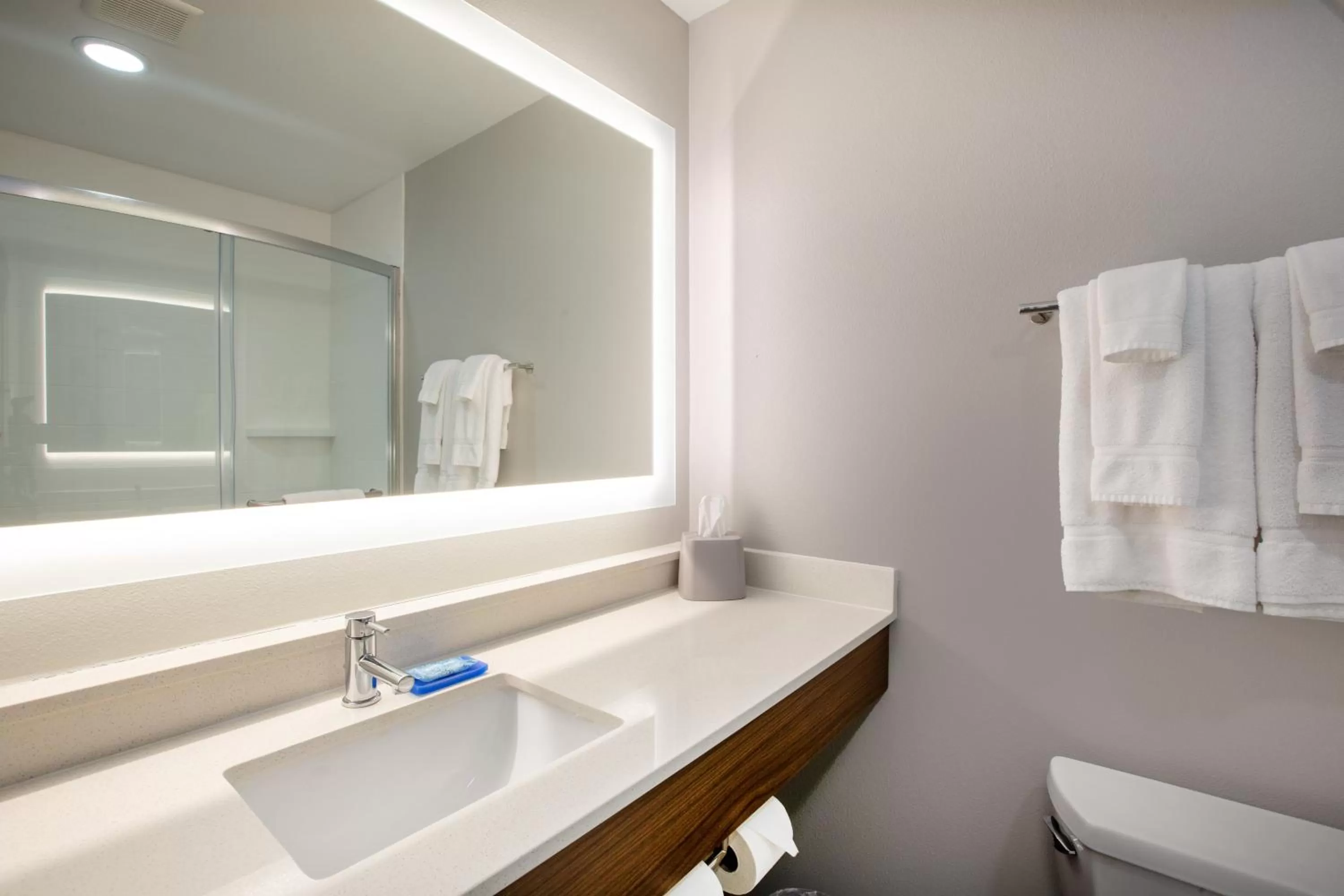 Bathroom in Holiday Inn Express Hotel & Suites Columbus by IHG