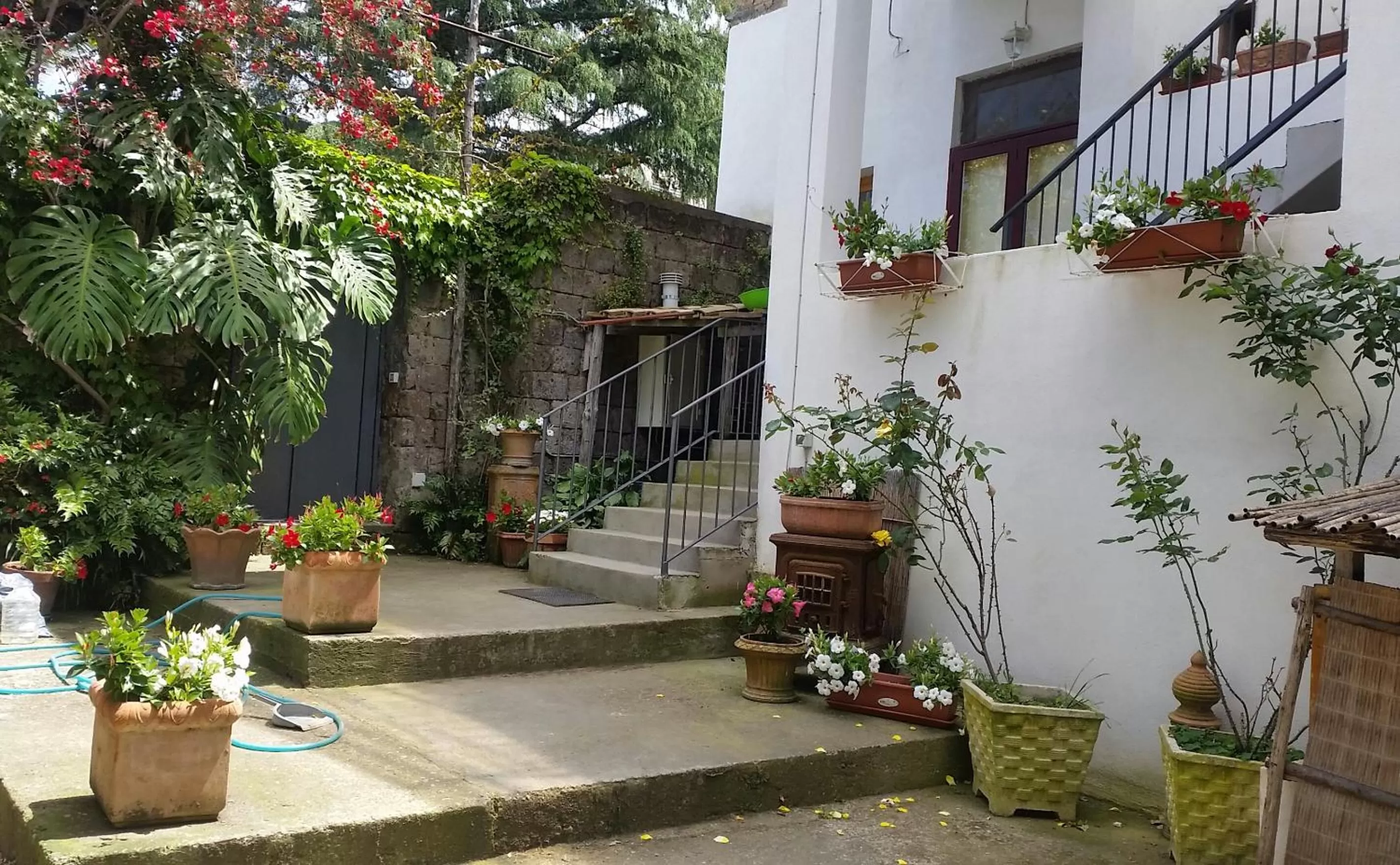 Garden in Casa Carolina B&B