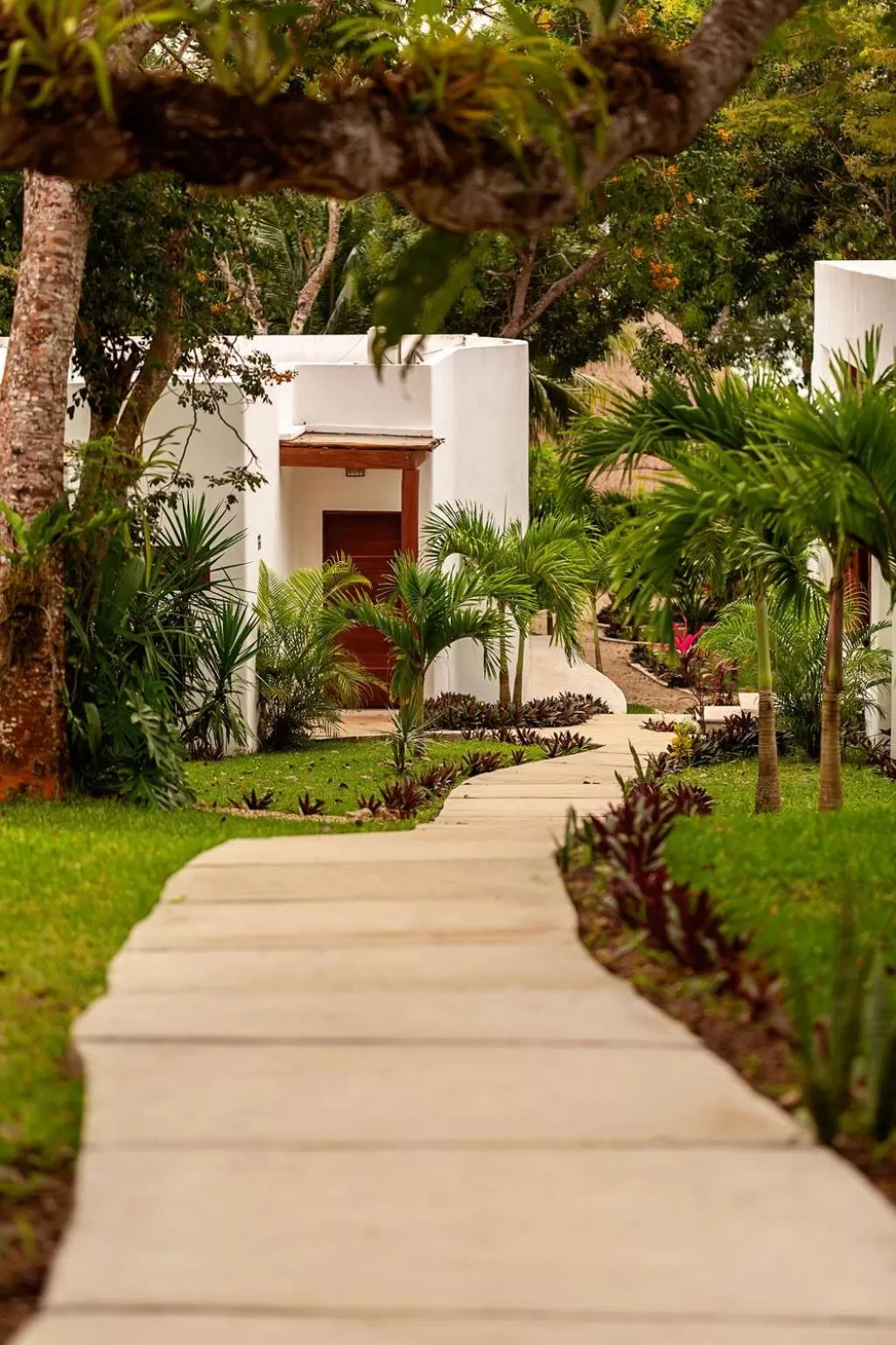 Property building in Mi Kasa Tu Kasa Bacalar
