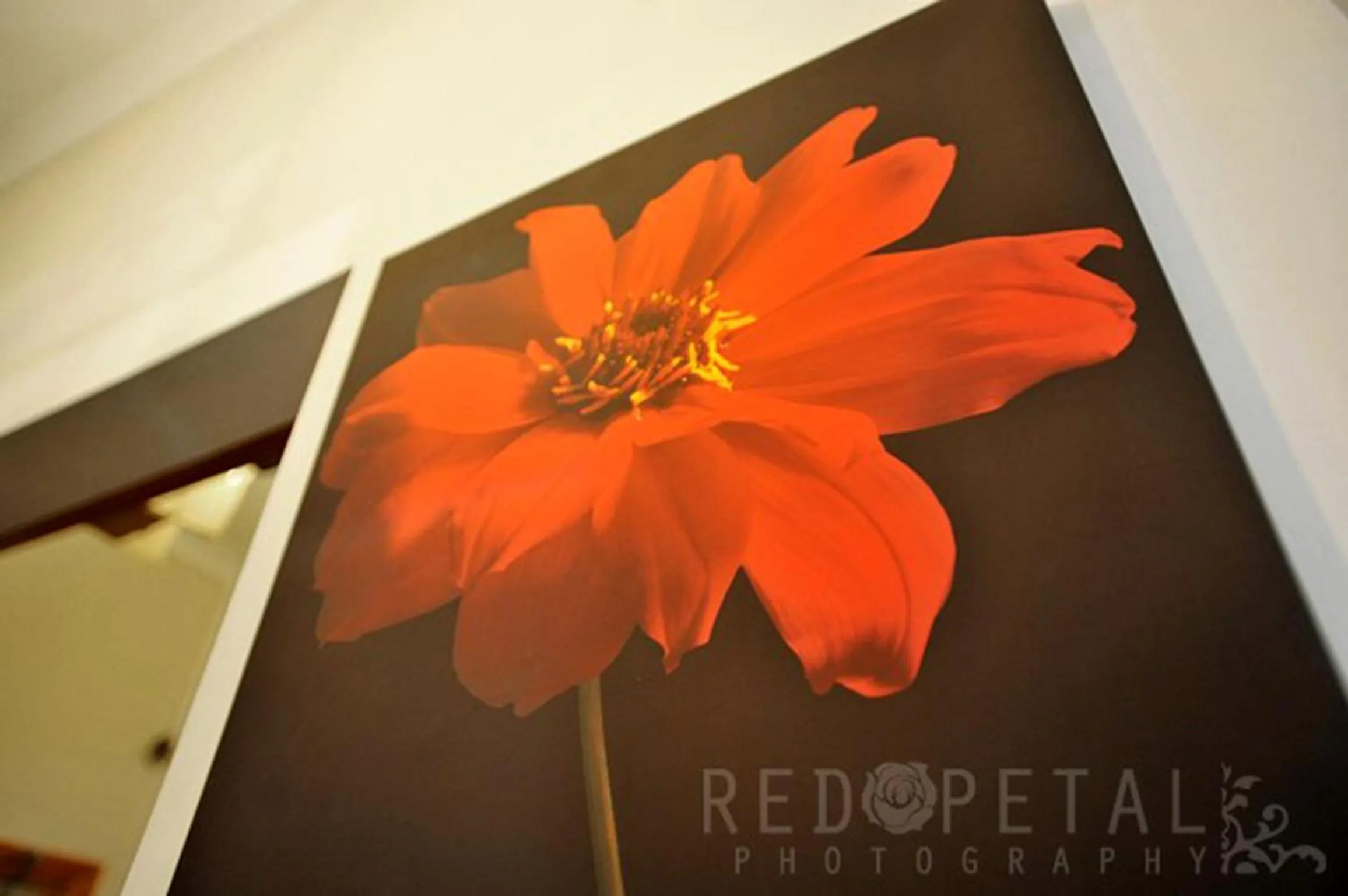 Decorative detail in Elmwood Hotel