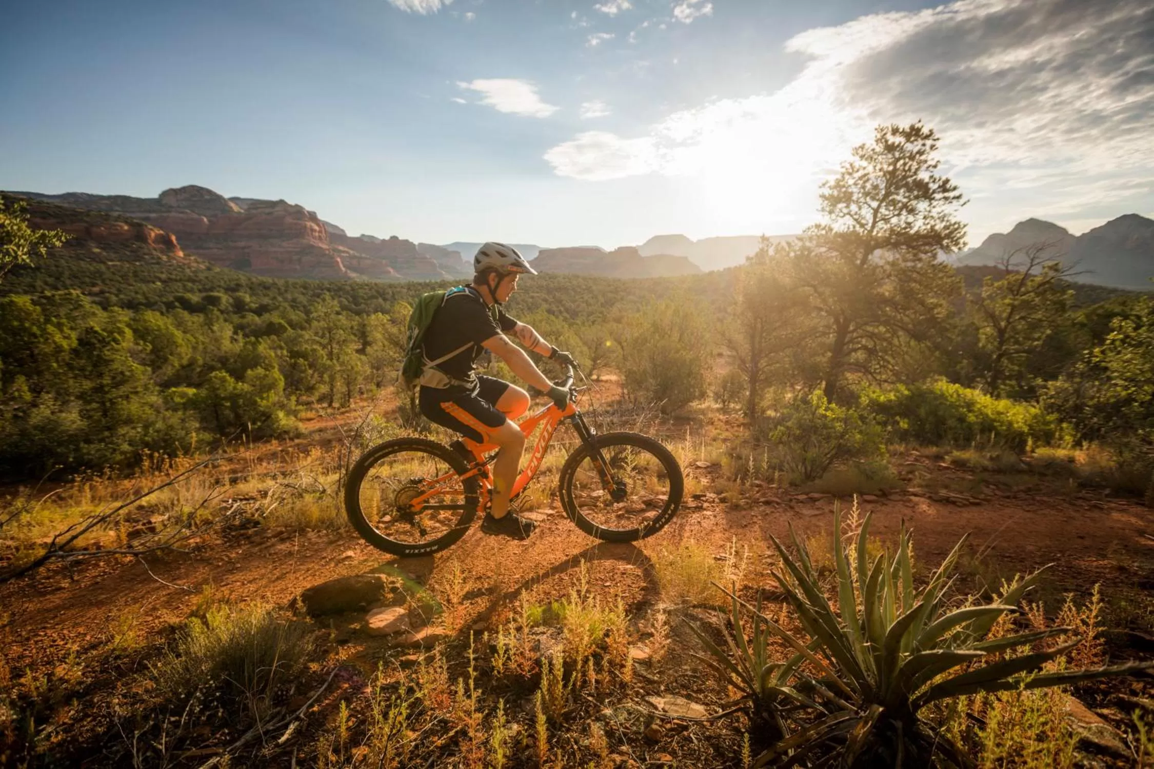 Cycling in Enchantment