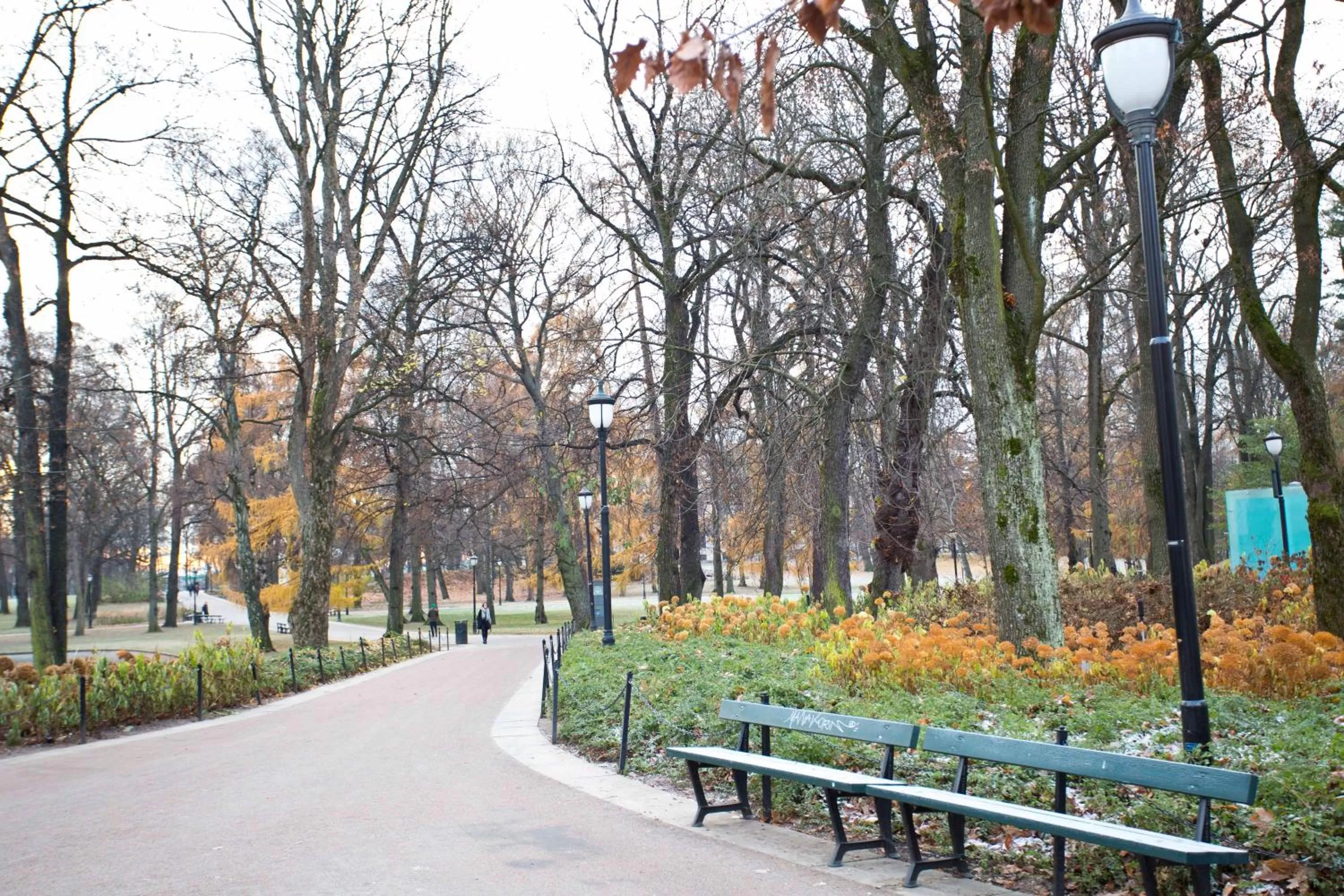 Neighbourhood in Camillas Hus