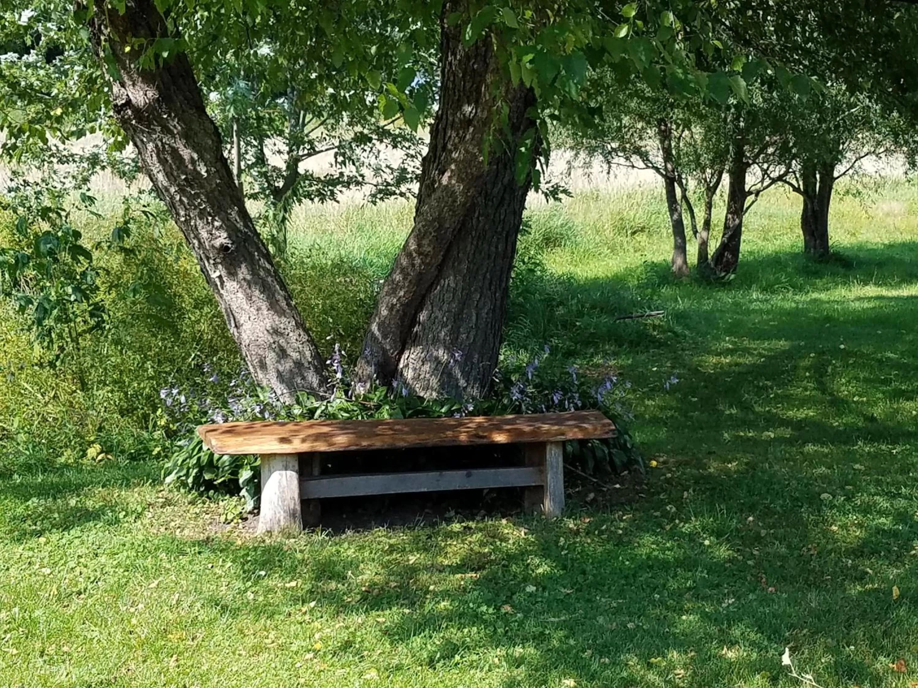 Natural landscape in Rainbow Ridge Farms