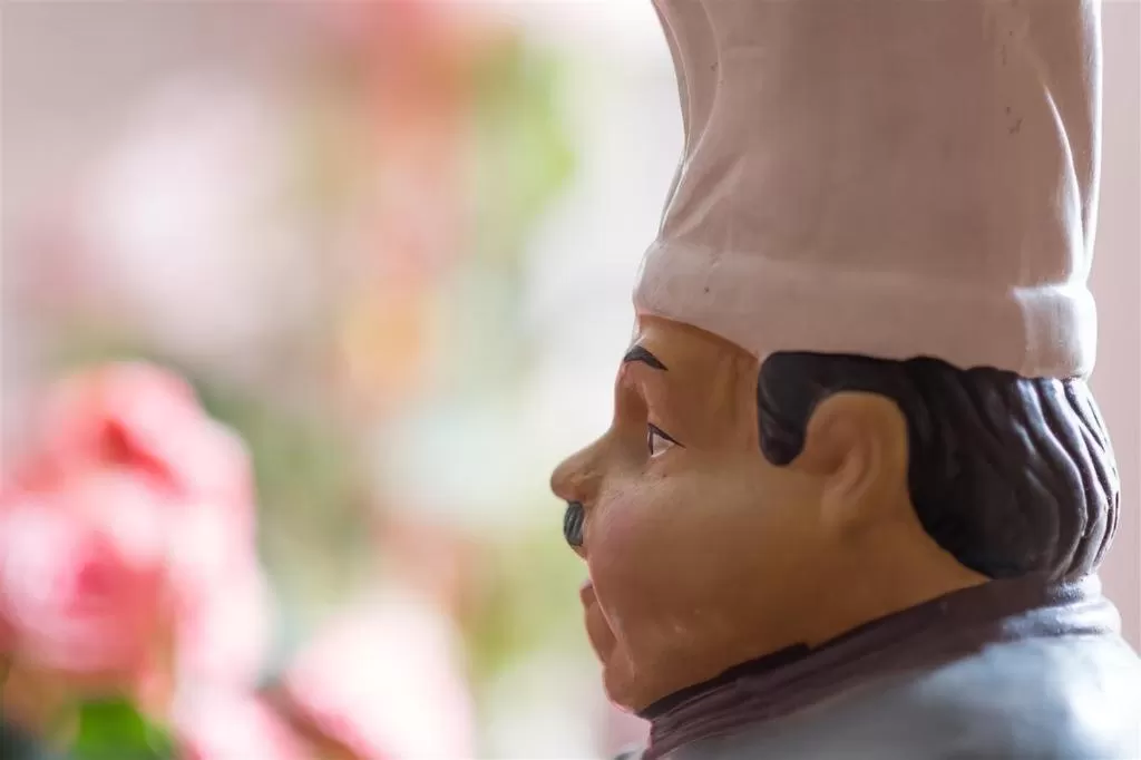 HOTEL DU CYGNE DE LA CROIX BLANCHE