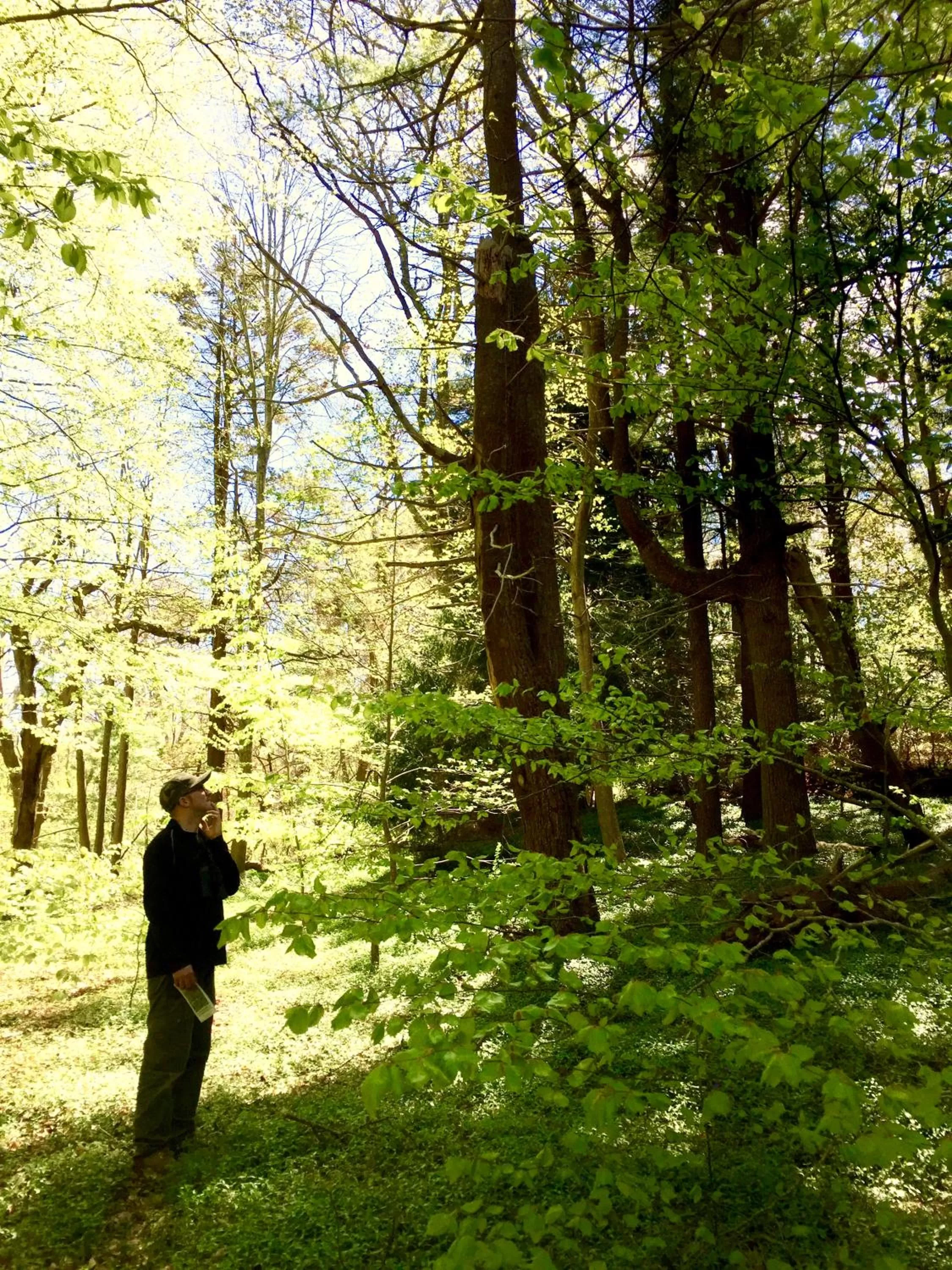Hiking in Frederick William House
