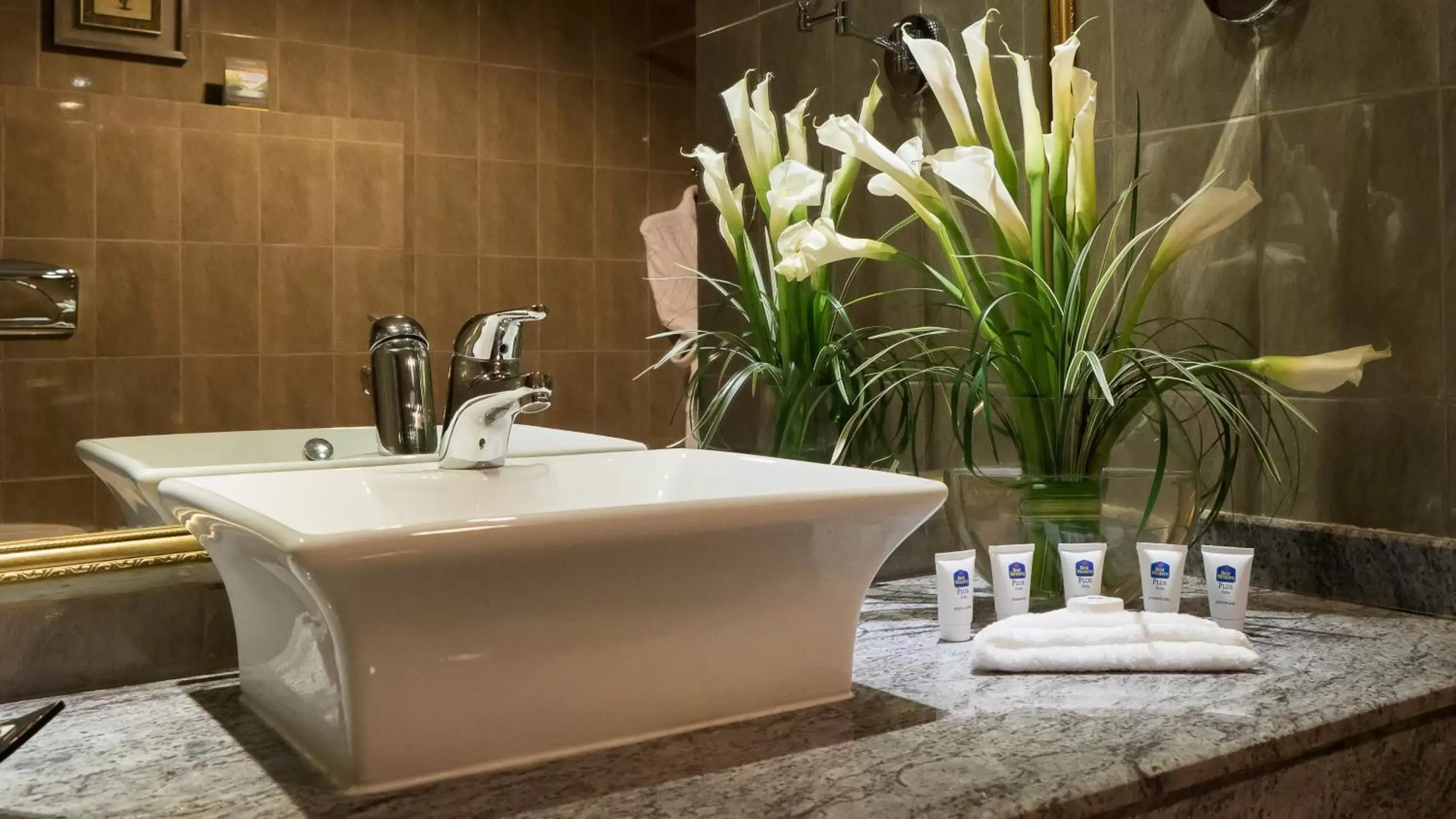 Deluxe Twin Suite in Best Western Plus Doha Deluxe Twin Suite in Best Western Plus Doha