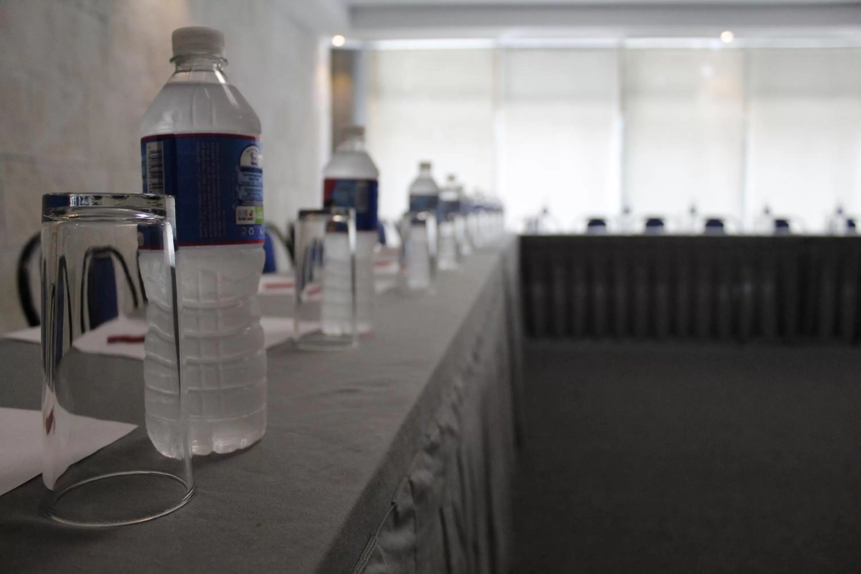 Banquet/Function facilities in Hotel Diana del Bosque by DOT Urban