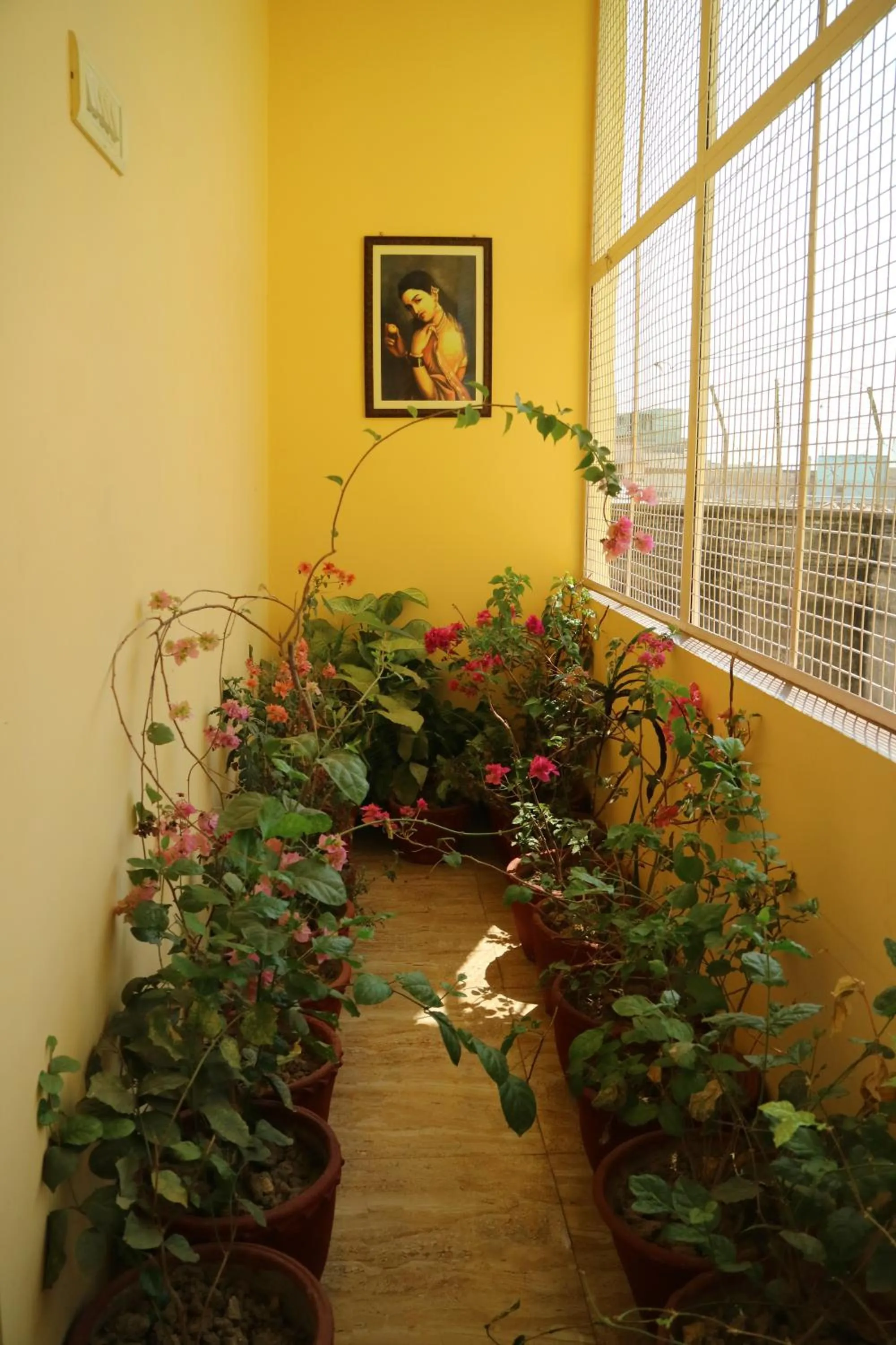 Restaurant/places to eat in Tara Guest House