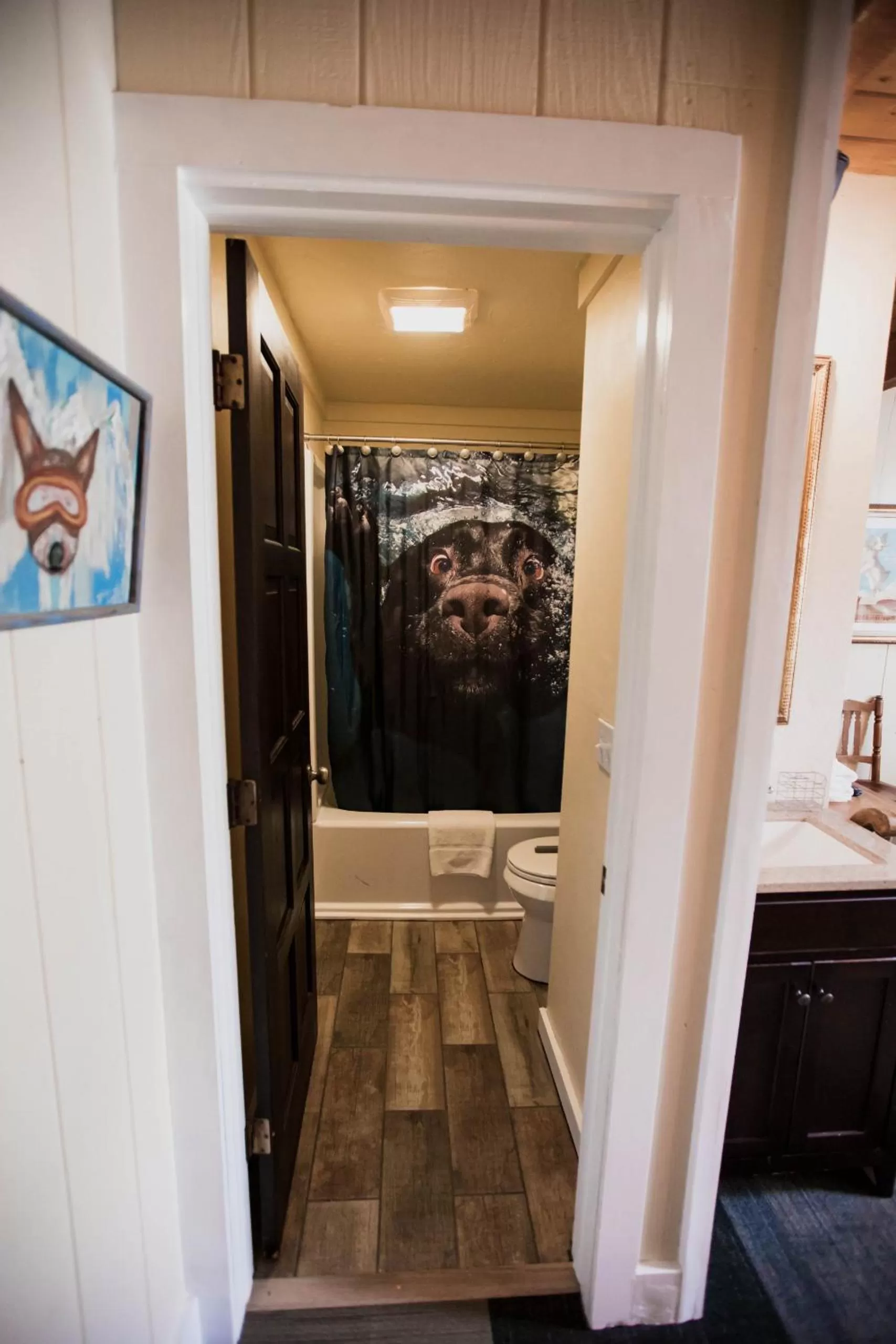 The Viking Lodge - Downtown Winter Park Colorado