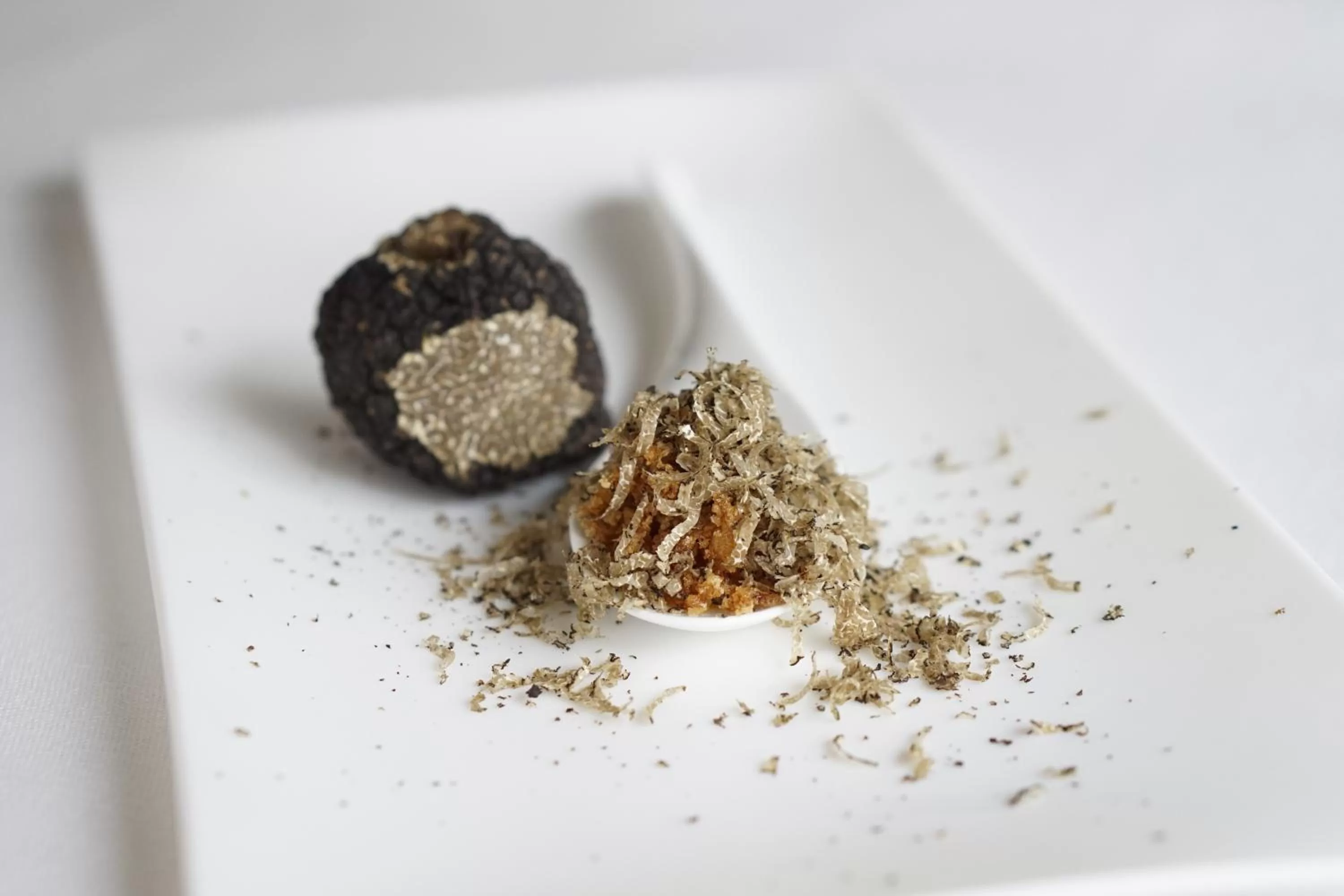 Hotel Villa Rosario II, Edificio Moderno