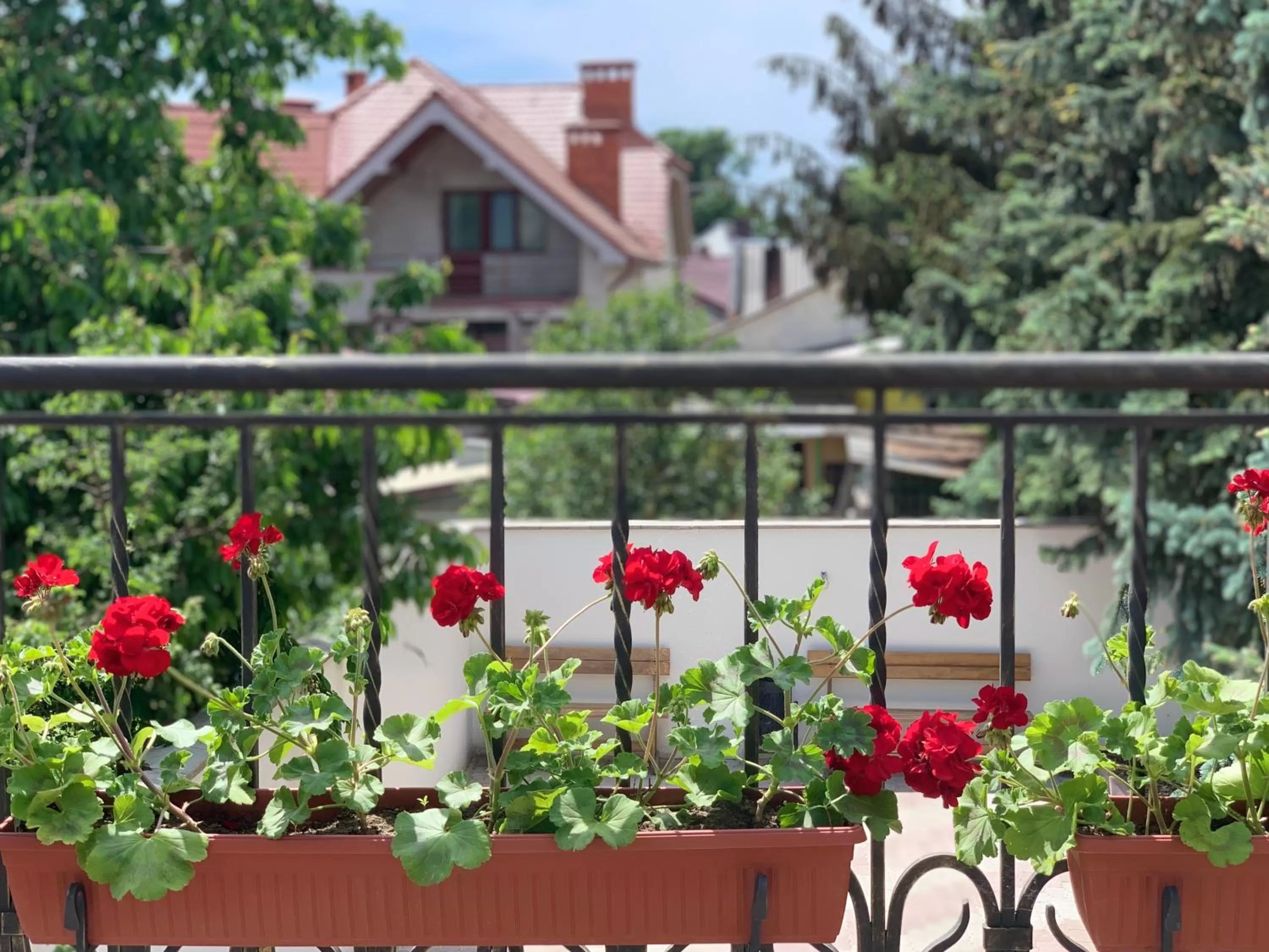 Balcony/Terrace in Eduard Hotel