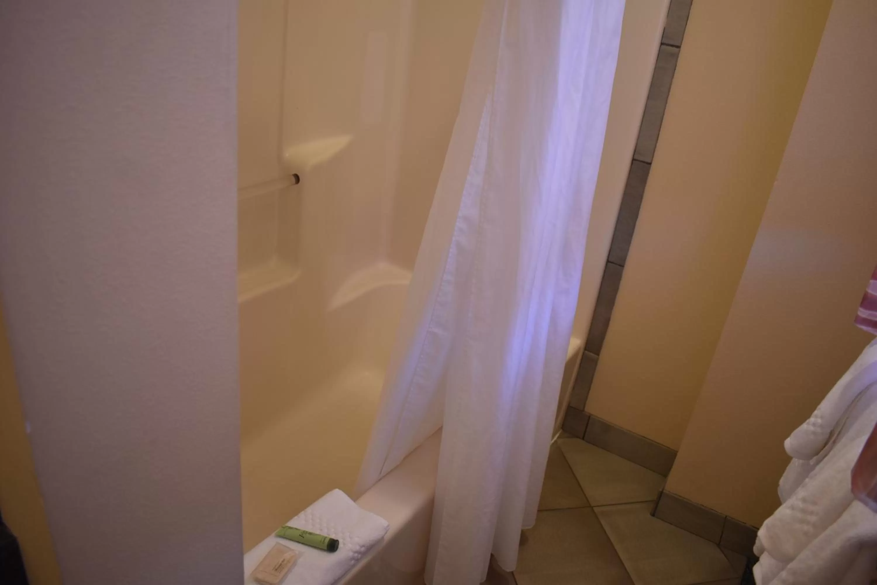 Bathroom in The Kauai Inn