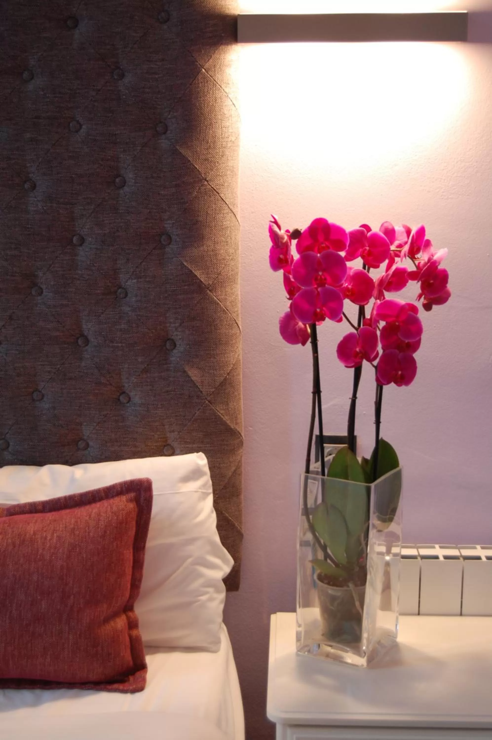 Decorative detail, Bed in Hotel Ginebra