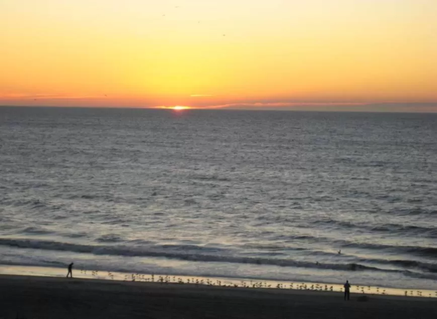 Beach in Suites at the Beach