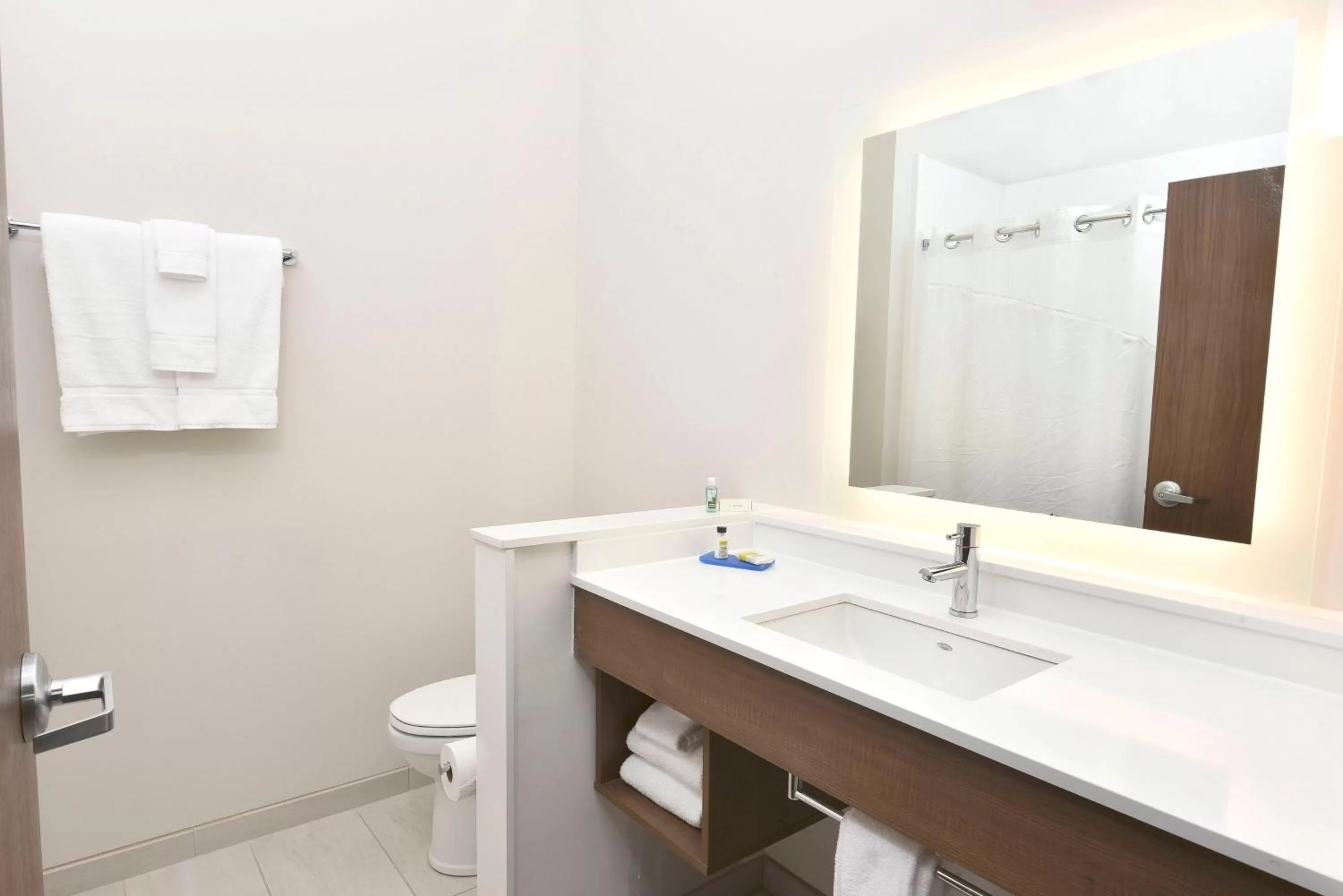 Bathroom in Holiday Inn Express & Suites - Madisonville by IHG