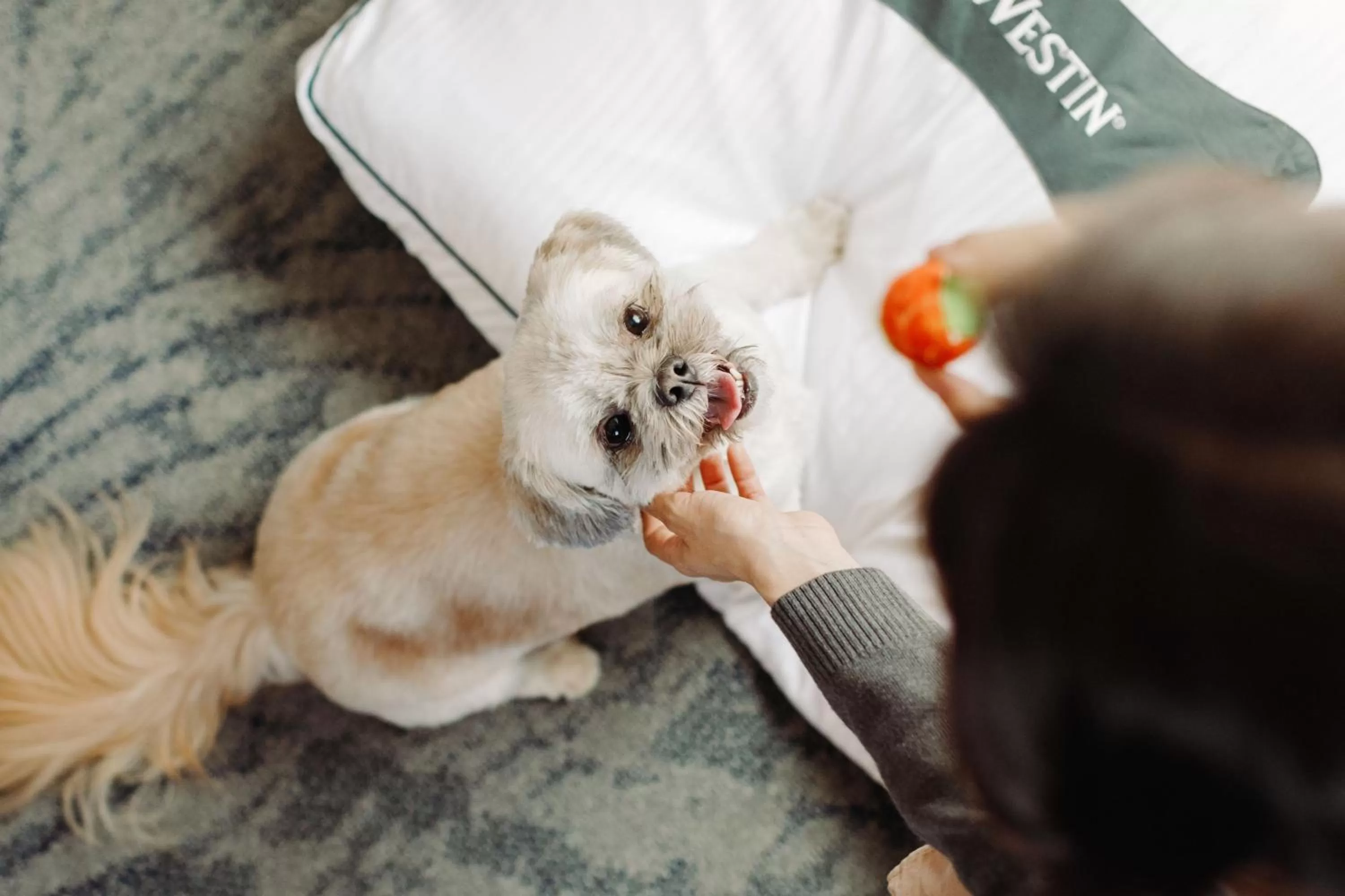 Other in The Westin New York at Times Square