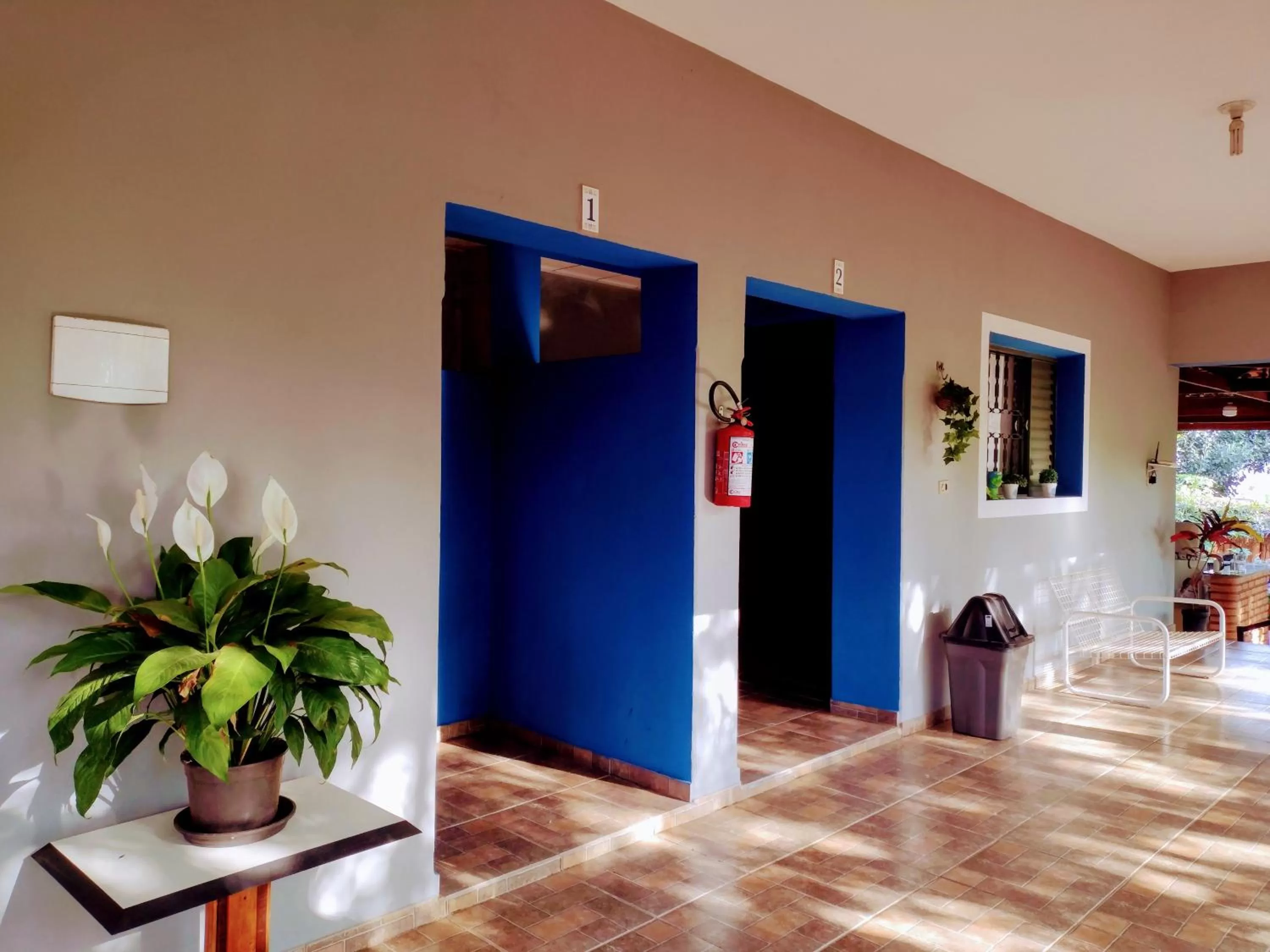 Suits - Canto do sabia