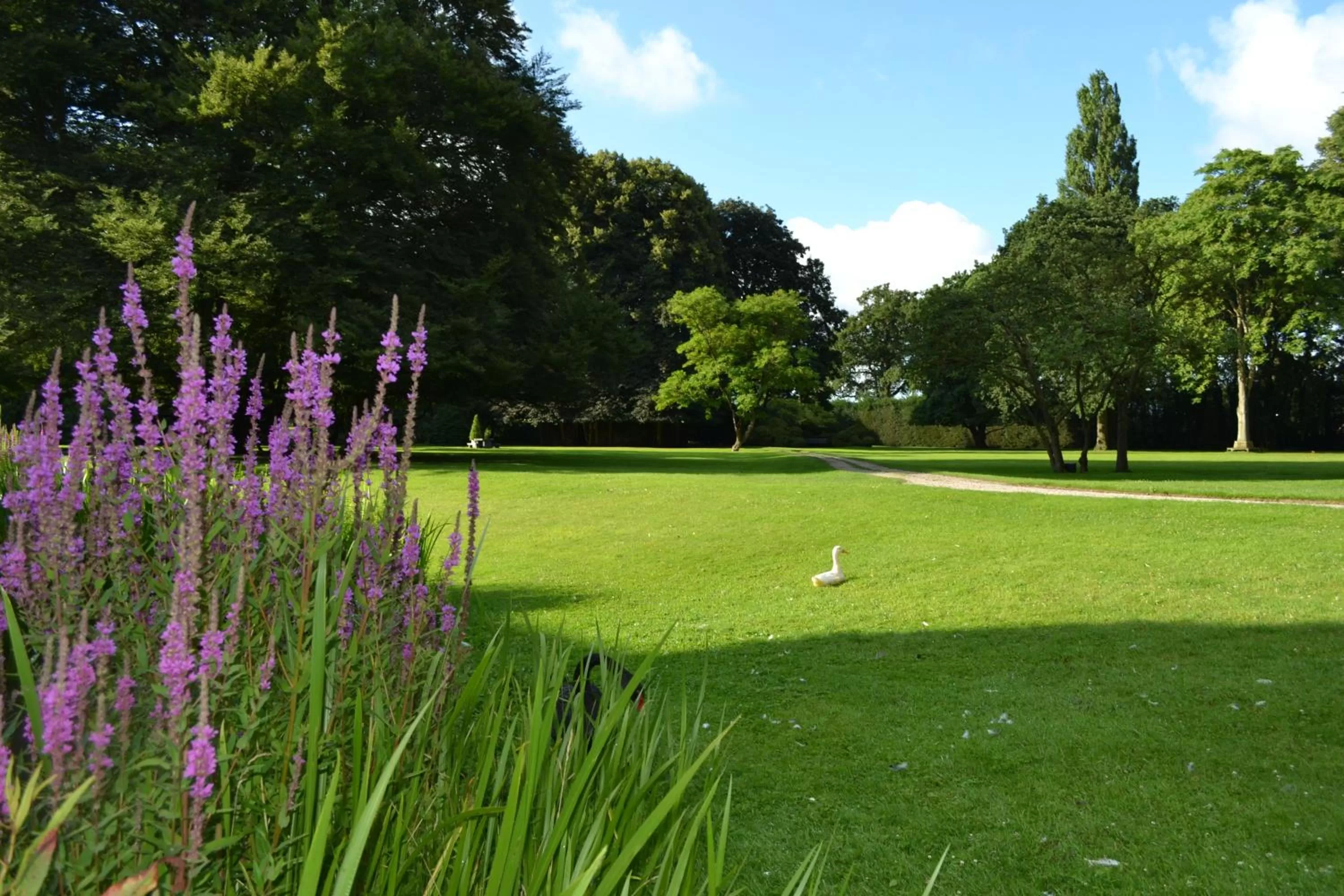 Golf in B&B en SPA Landgoed Matanze