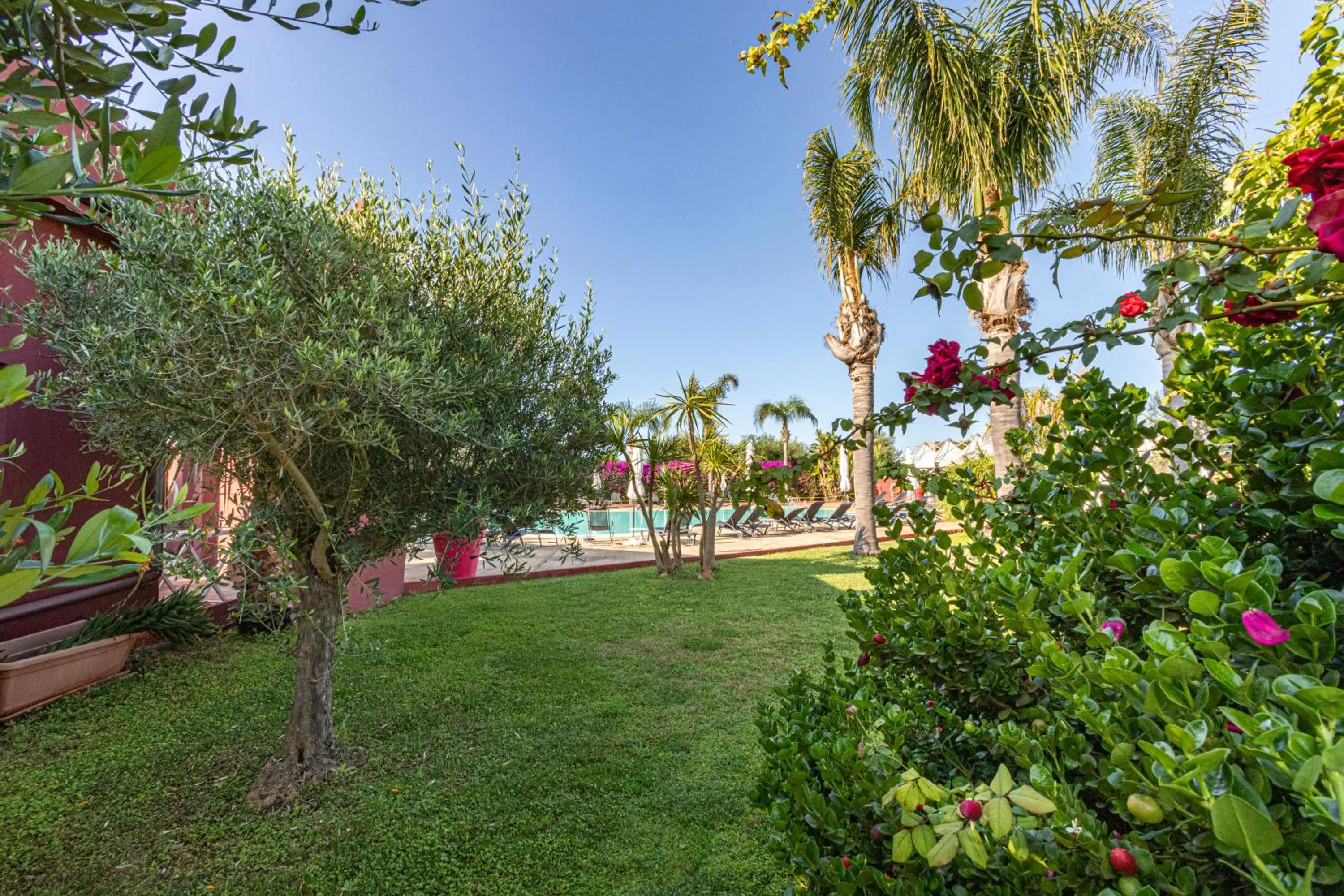 Summer in Albatros Hotel