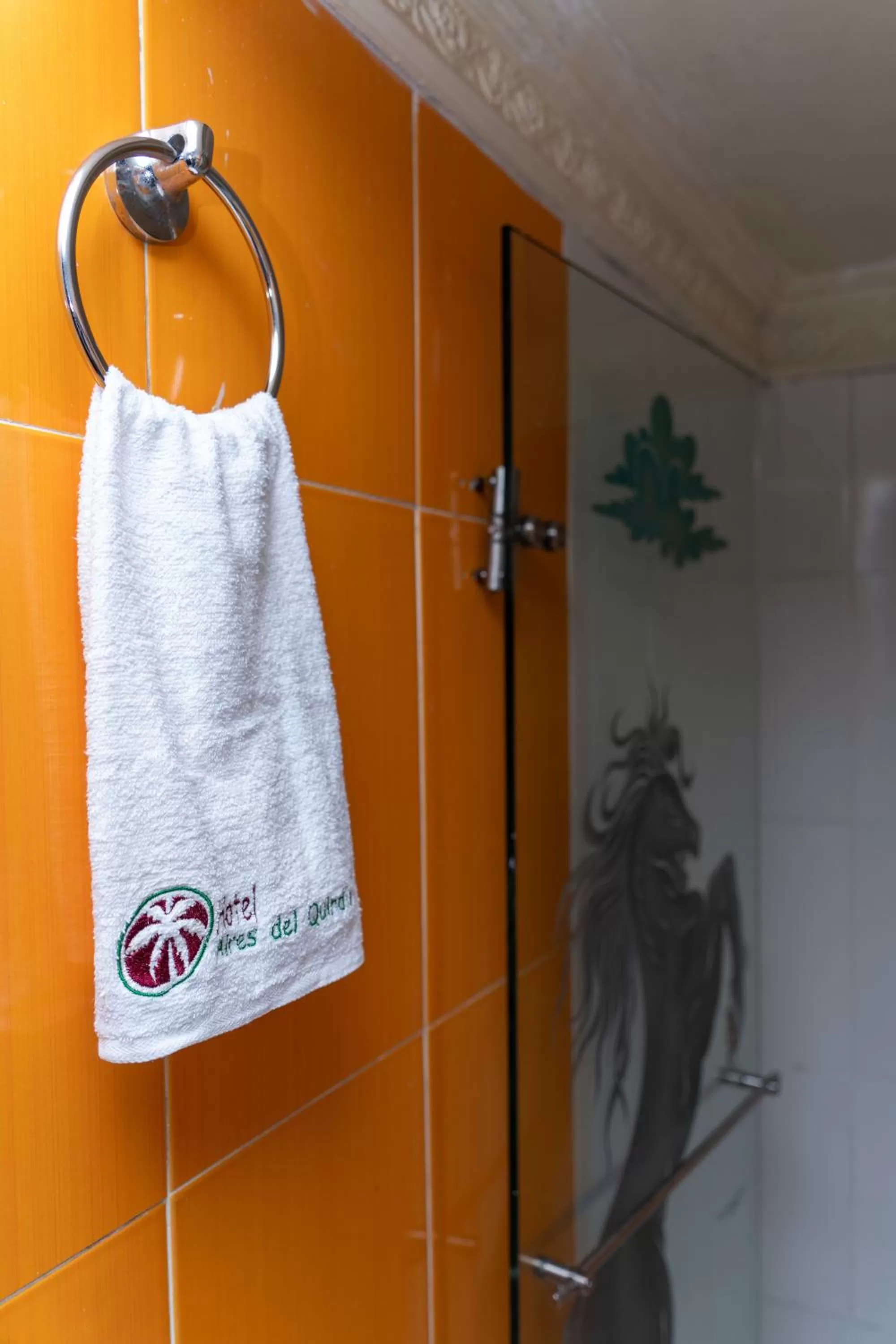 Bathroom in Hotel Aires del Quindío Armenia