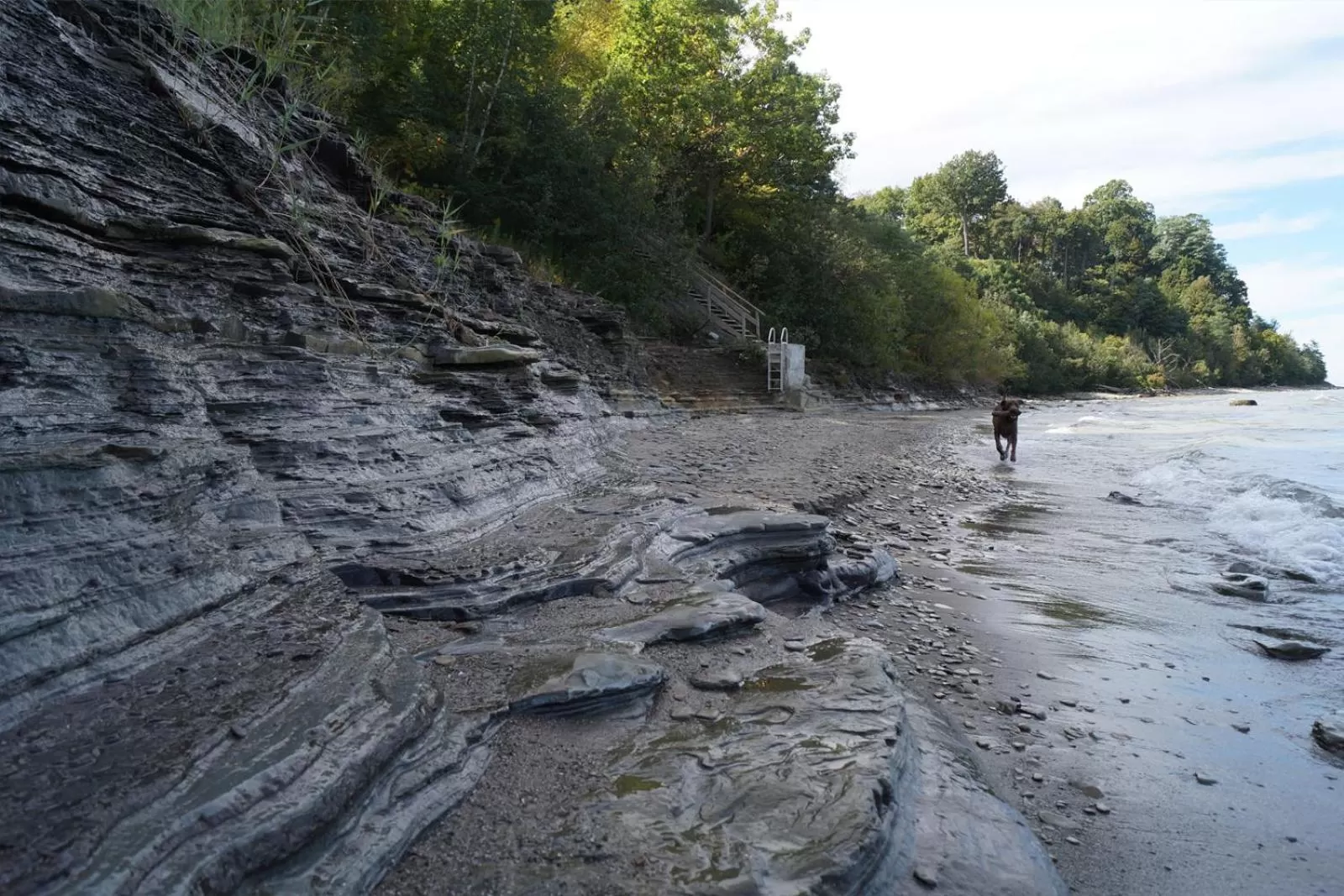 Lakeview on the Lake