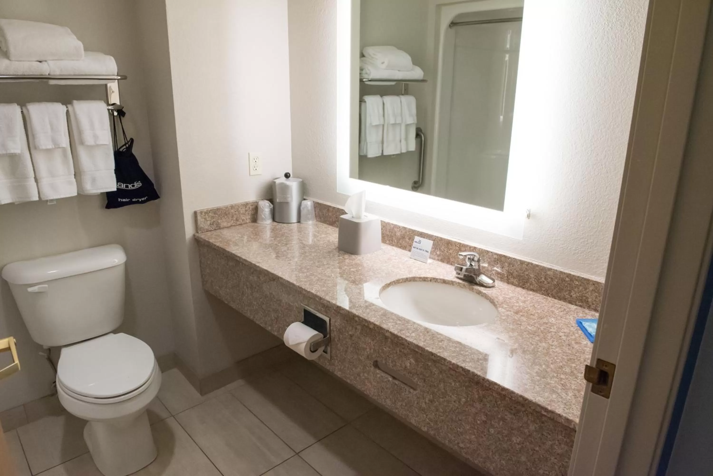 Bathroom in Holiday Inn Express Hotel & Suites Elkhart-South by IHG