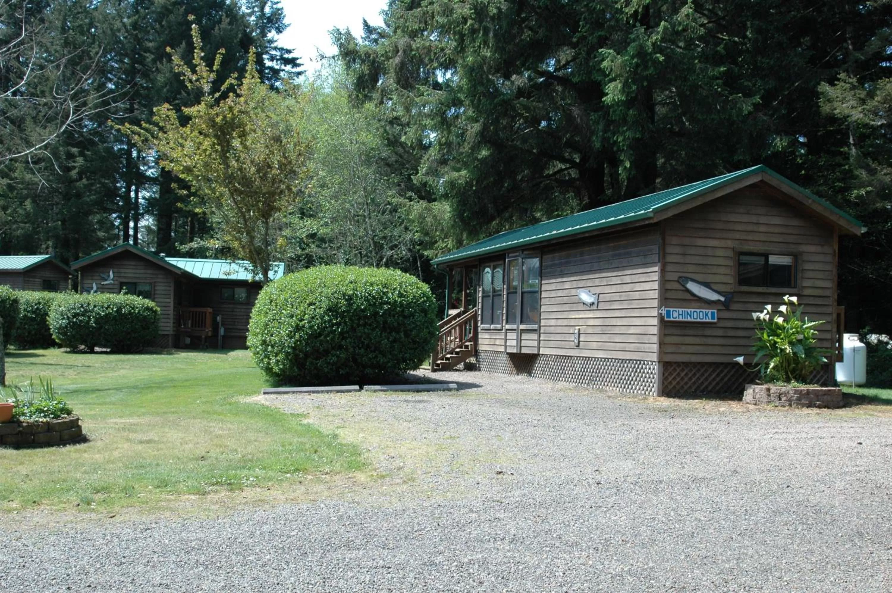 Park Motel and Cabins