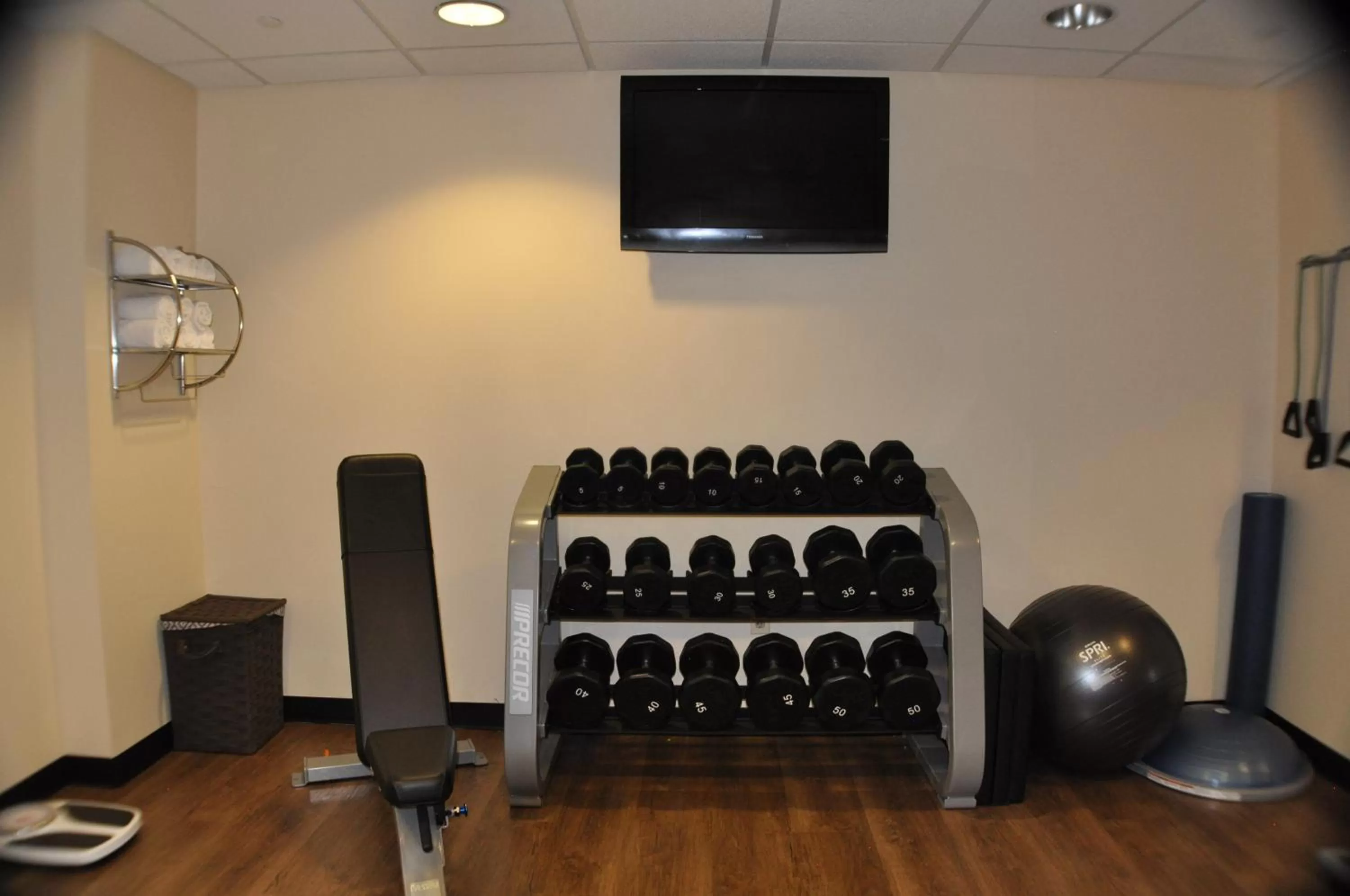 Spa and wellness centre/facilities, Fitness Center/Facilities in Holiday Inn Express Baltimore-Downtown, an IHG Hotel