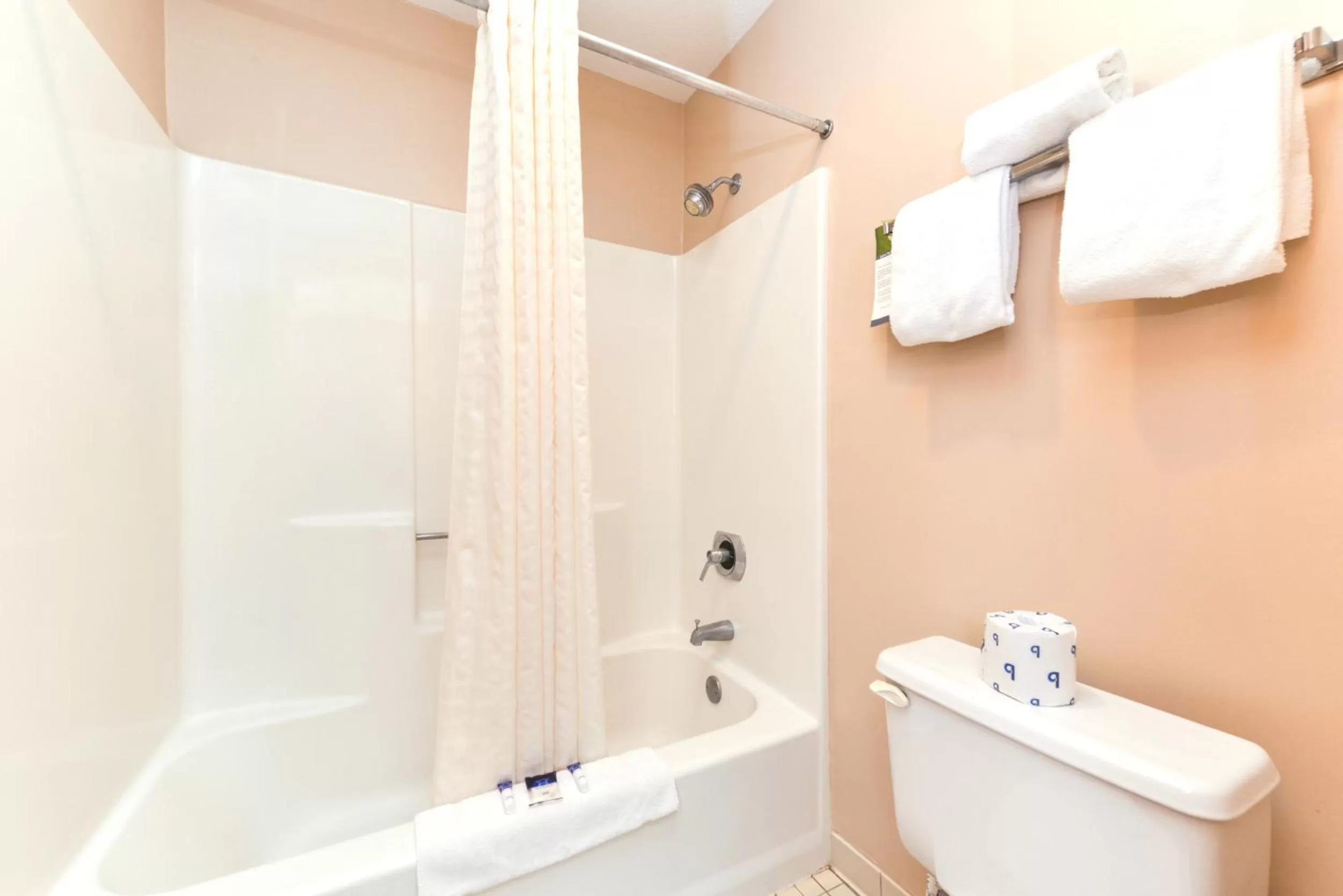 Bathroom in Americas Best Value Inn Plattsburgh