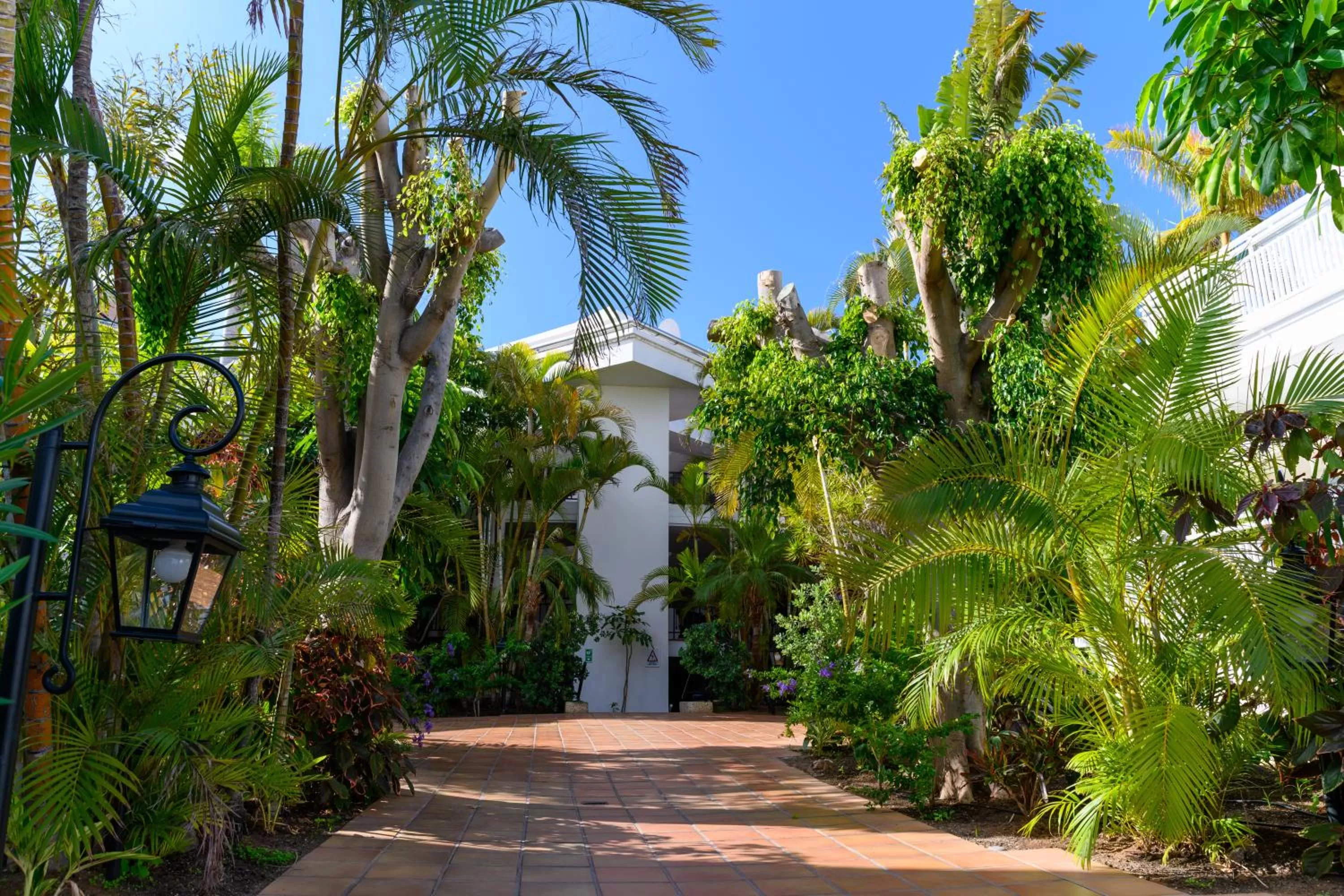 Garden in Apartamentos Parque del Sol