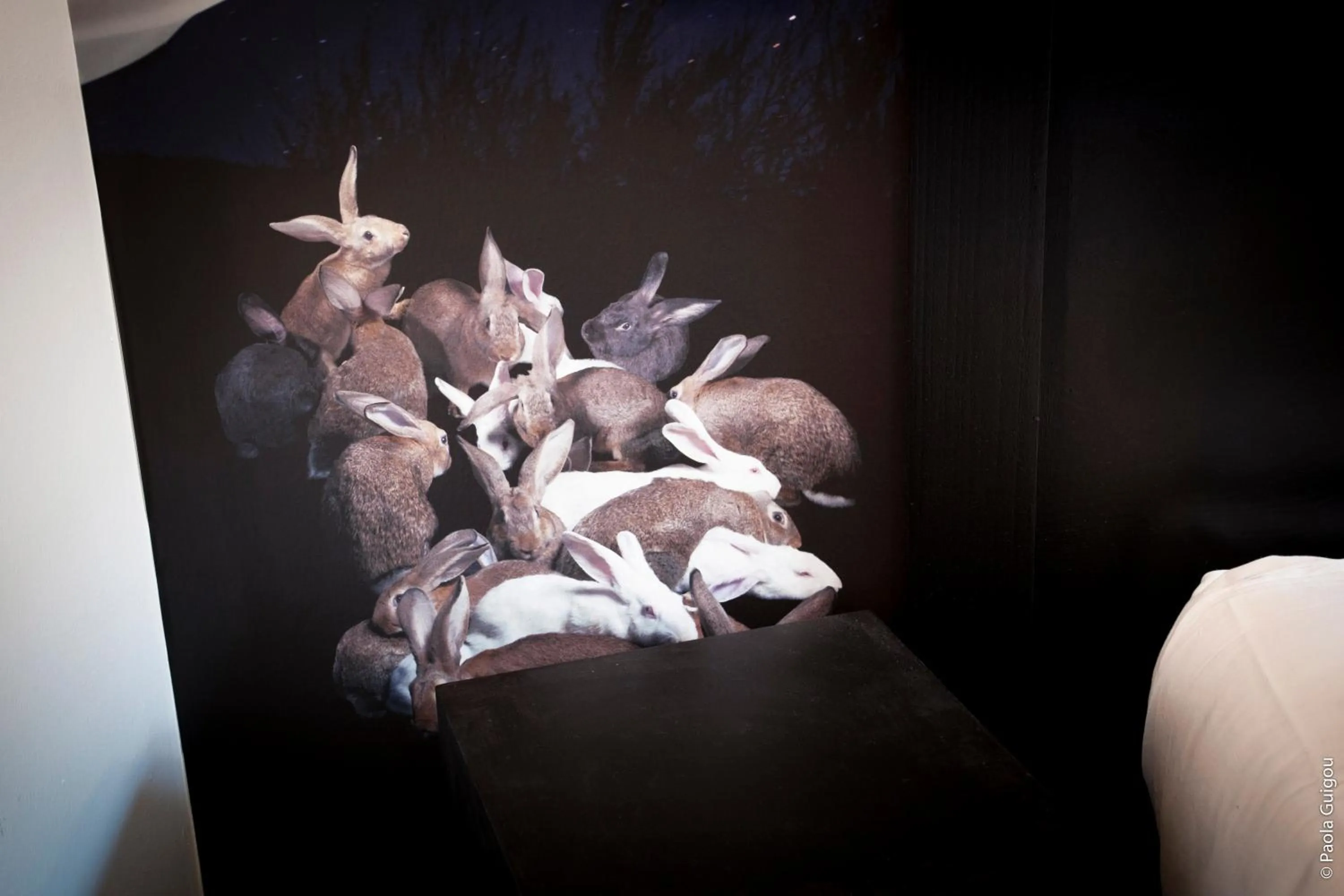 Decorative detail in Hôtel Graffalgar