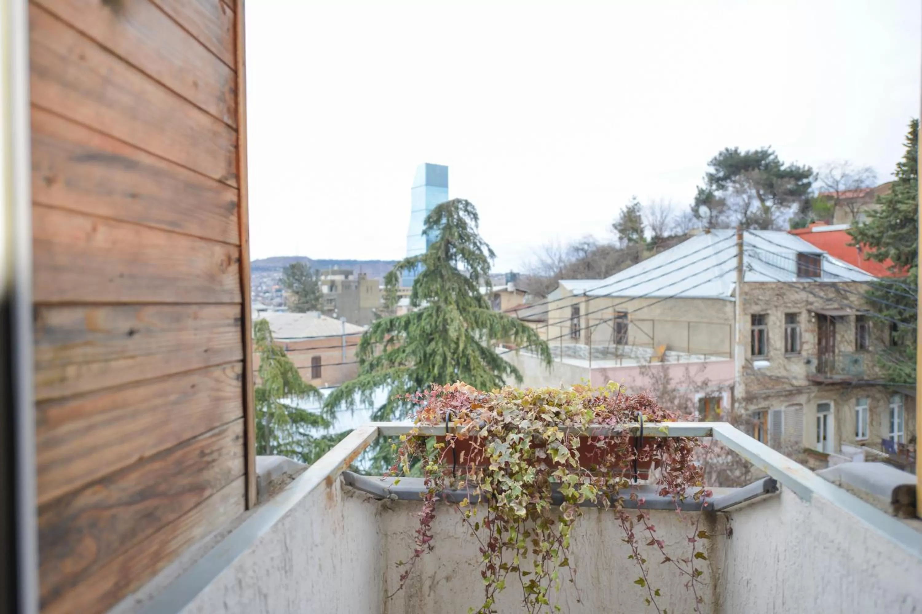 Area and facilities in City Inn - Boutique Hotel Tbilisi