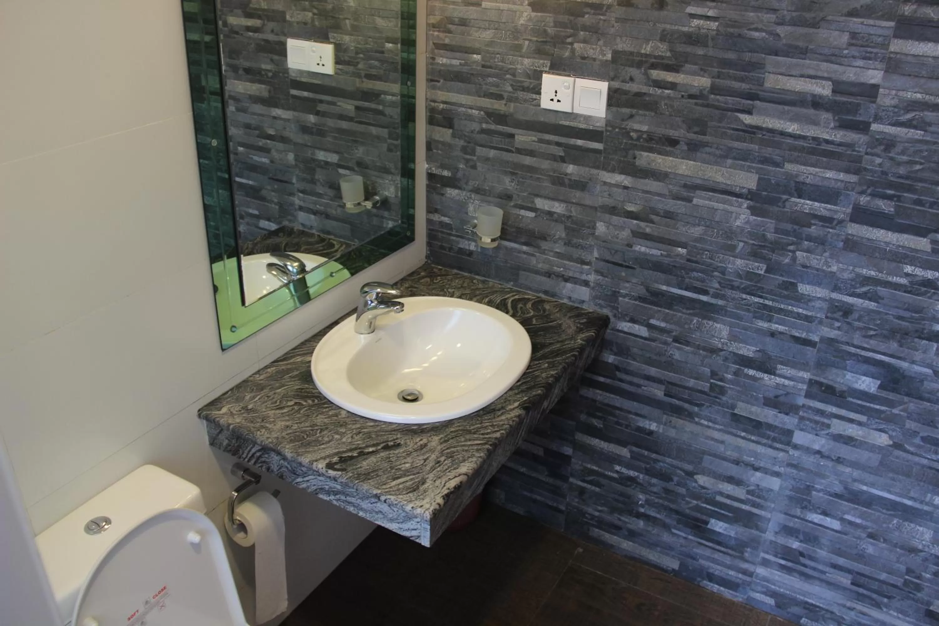 Toilet, Bathroom in Pigeons Nest