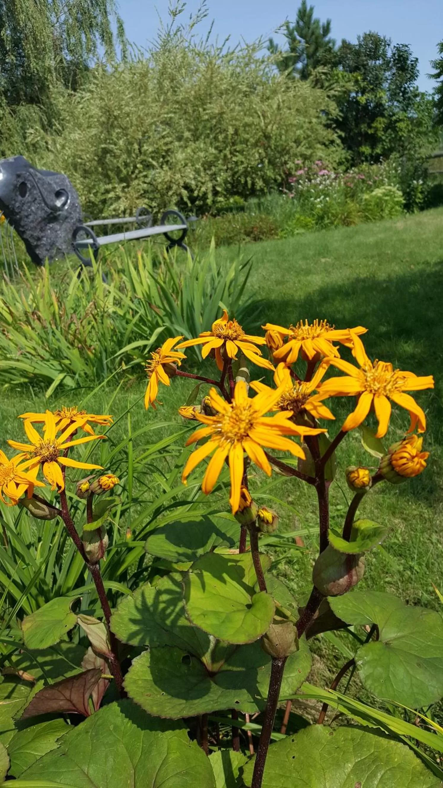 Atelier Galerie Anne Drouin Peinture & Pension