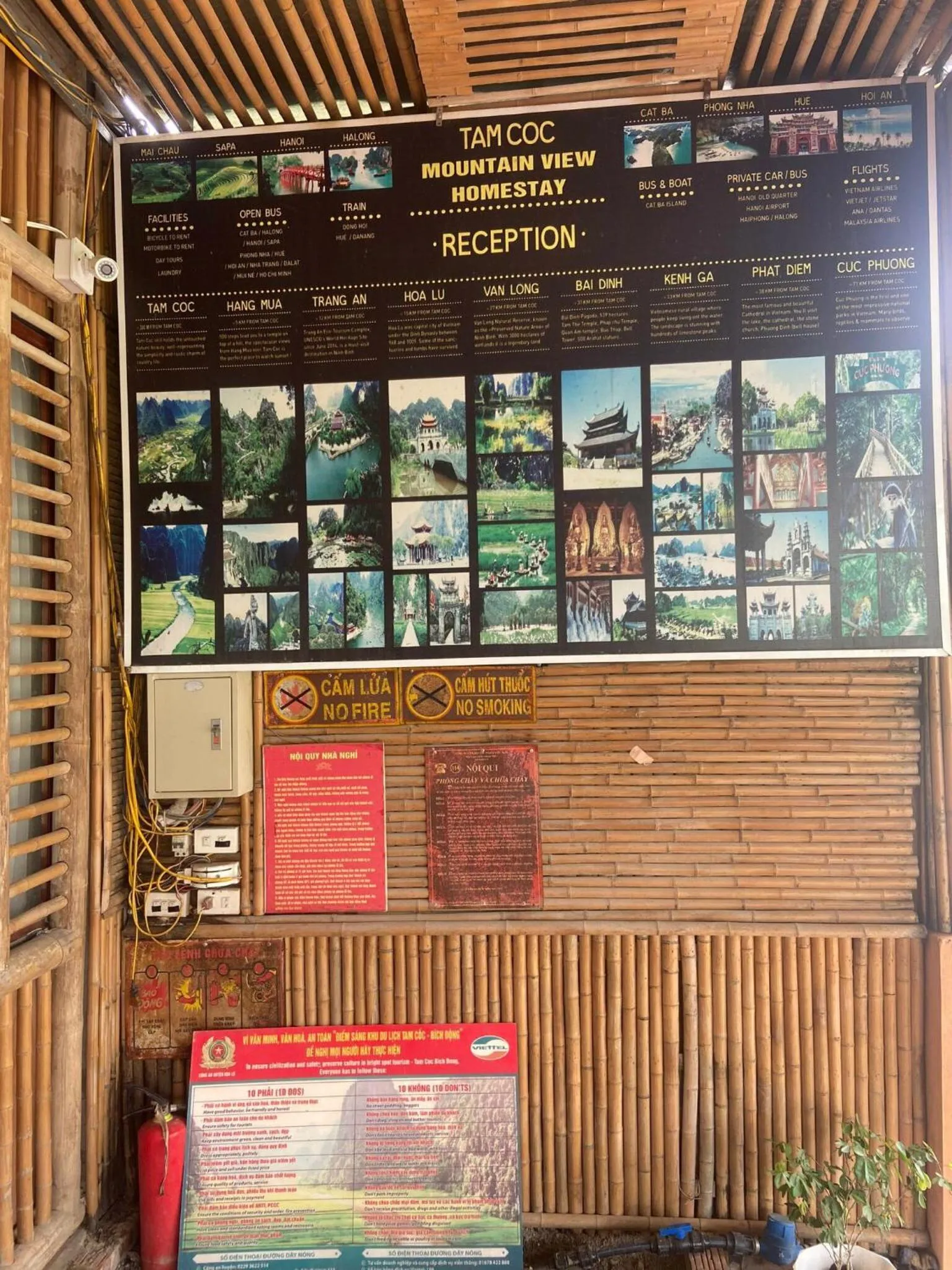 Tam Coc Mountain View Homestay