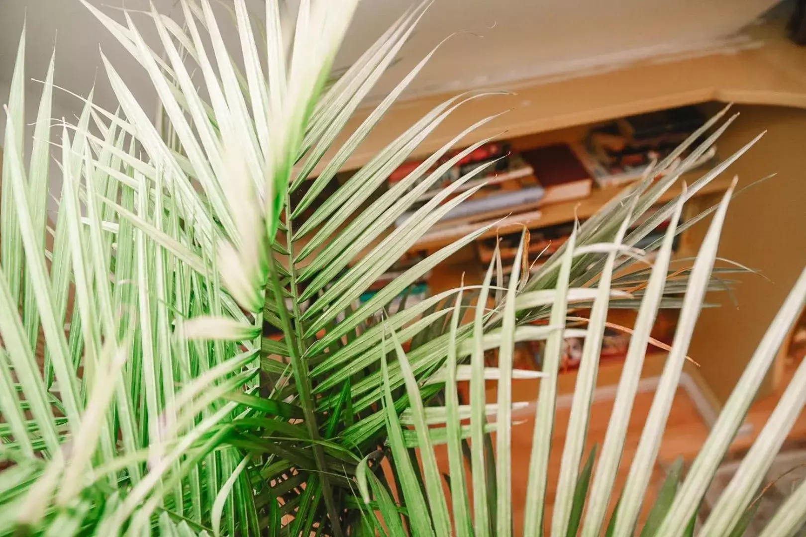 Bellas Castle Bellas Castle