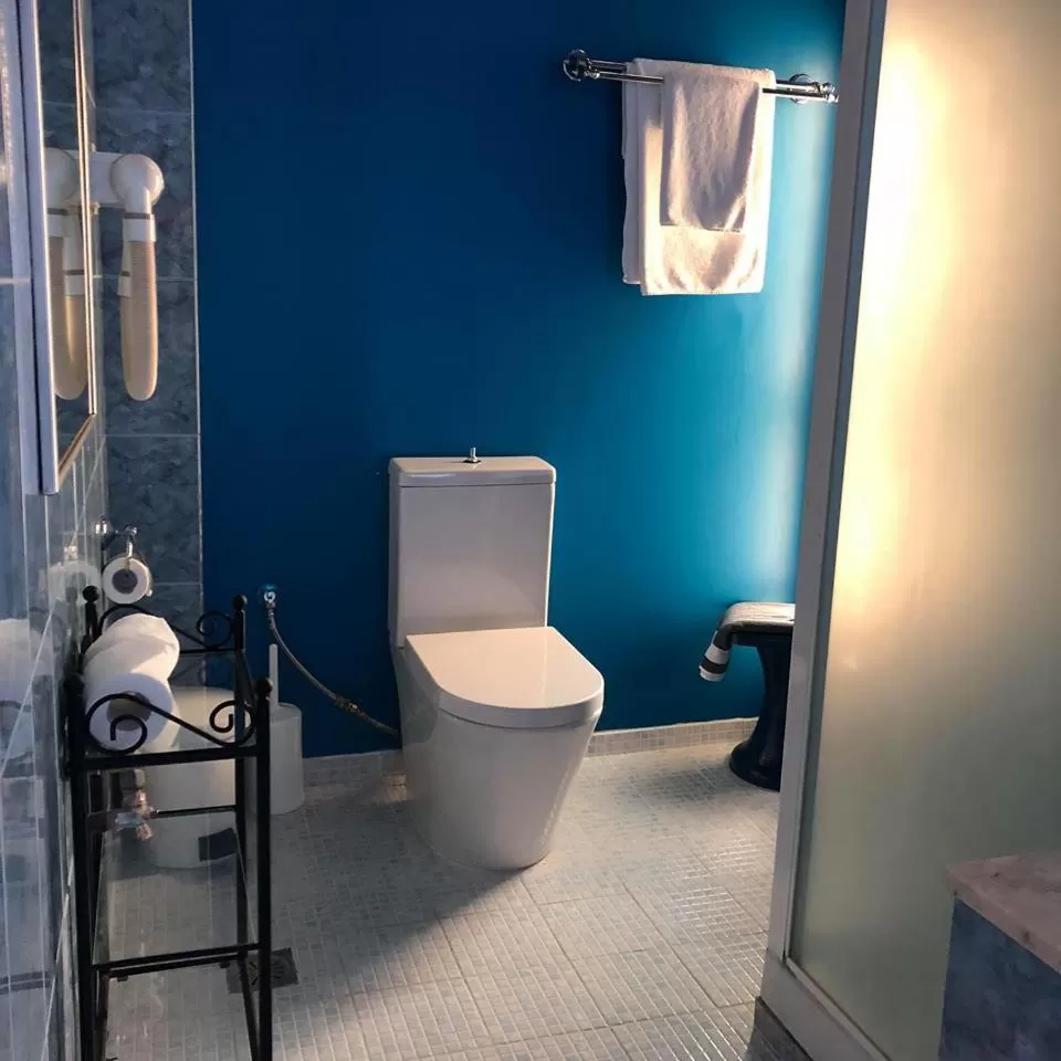 Toilet in Philippion