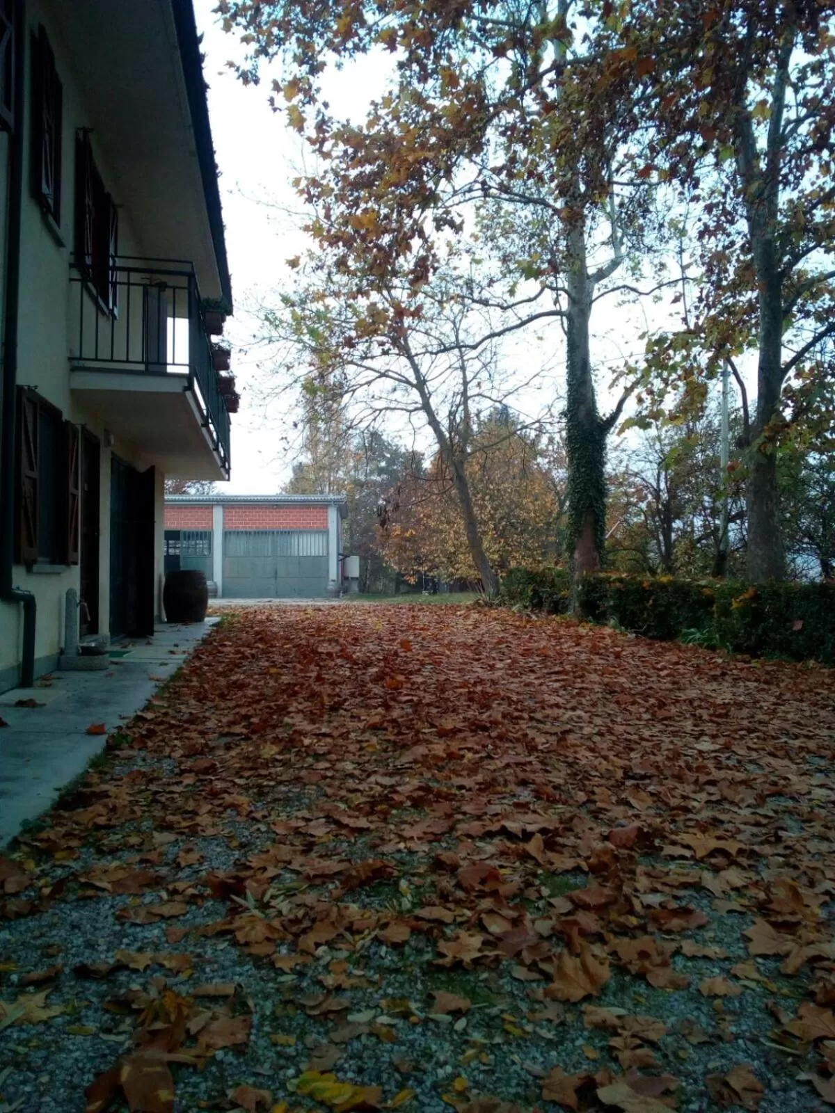 Floor plan in Cascina Torello
