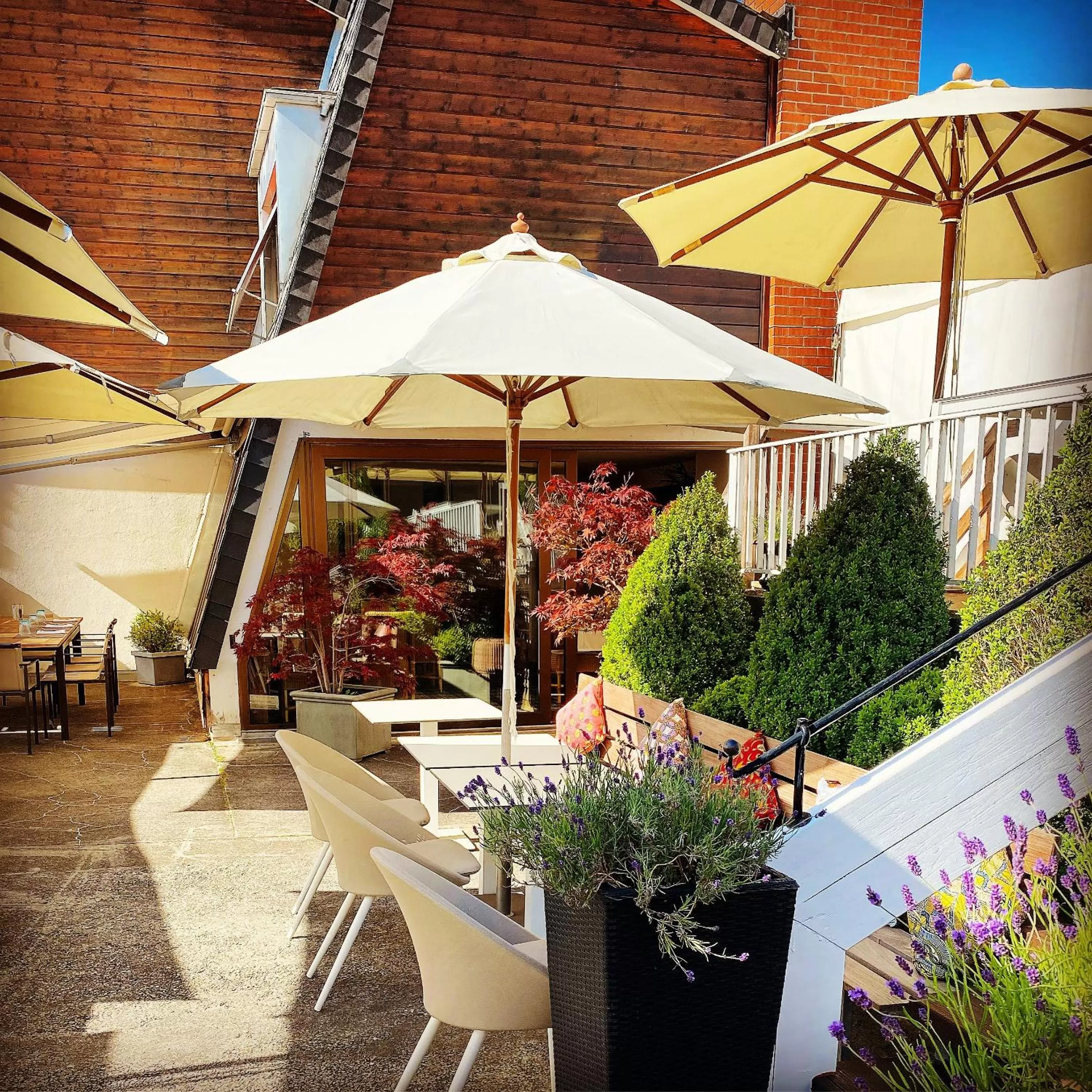 Patio in Strandhotel Schmerikon