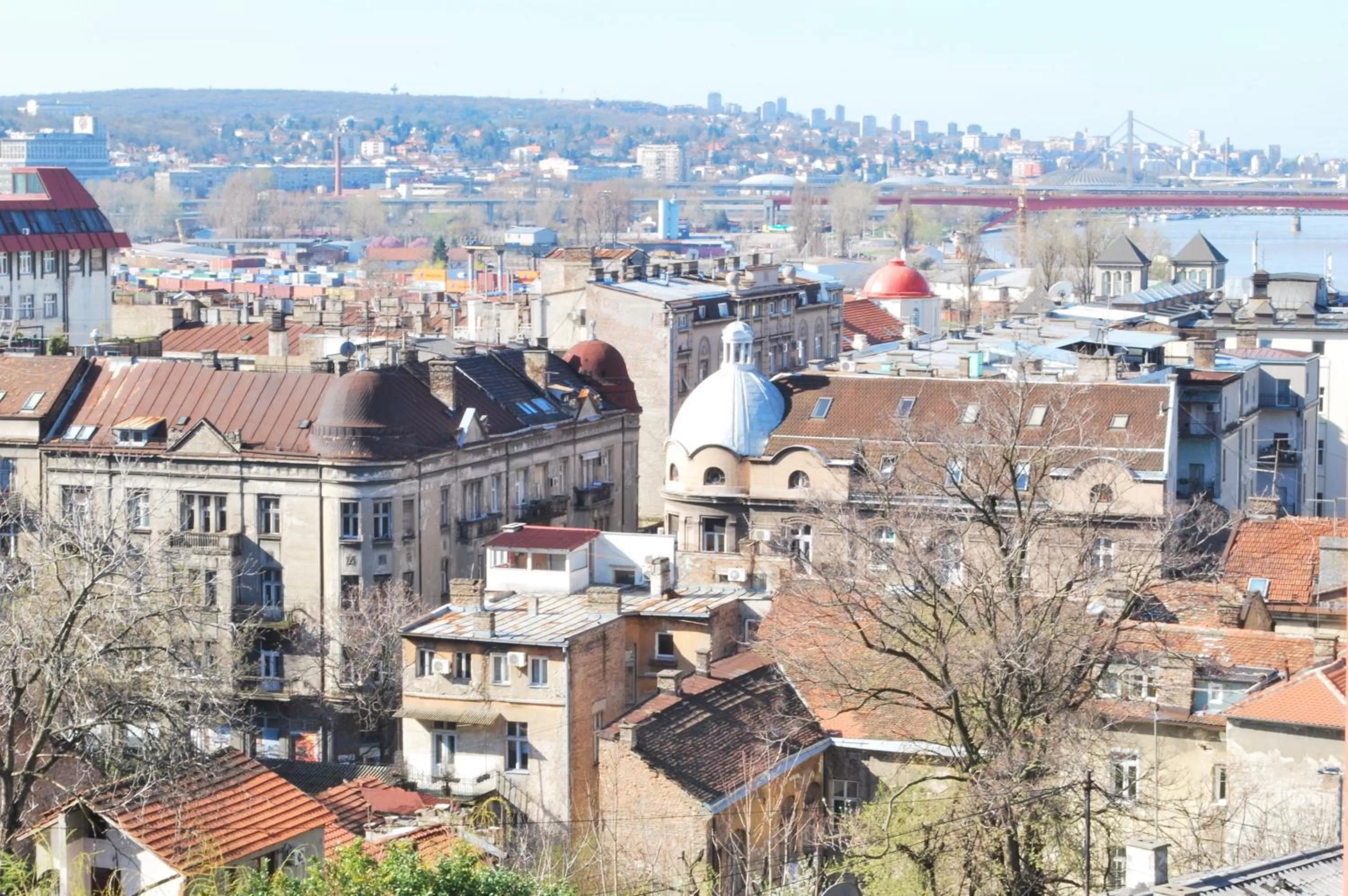 Neighbourhood in Hotel Rex