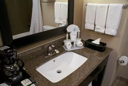 Bathroom in Holiday Inn Express Hotel & Suites Houston NW Beltway 8-West Road by IHG