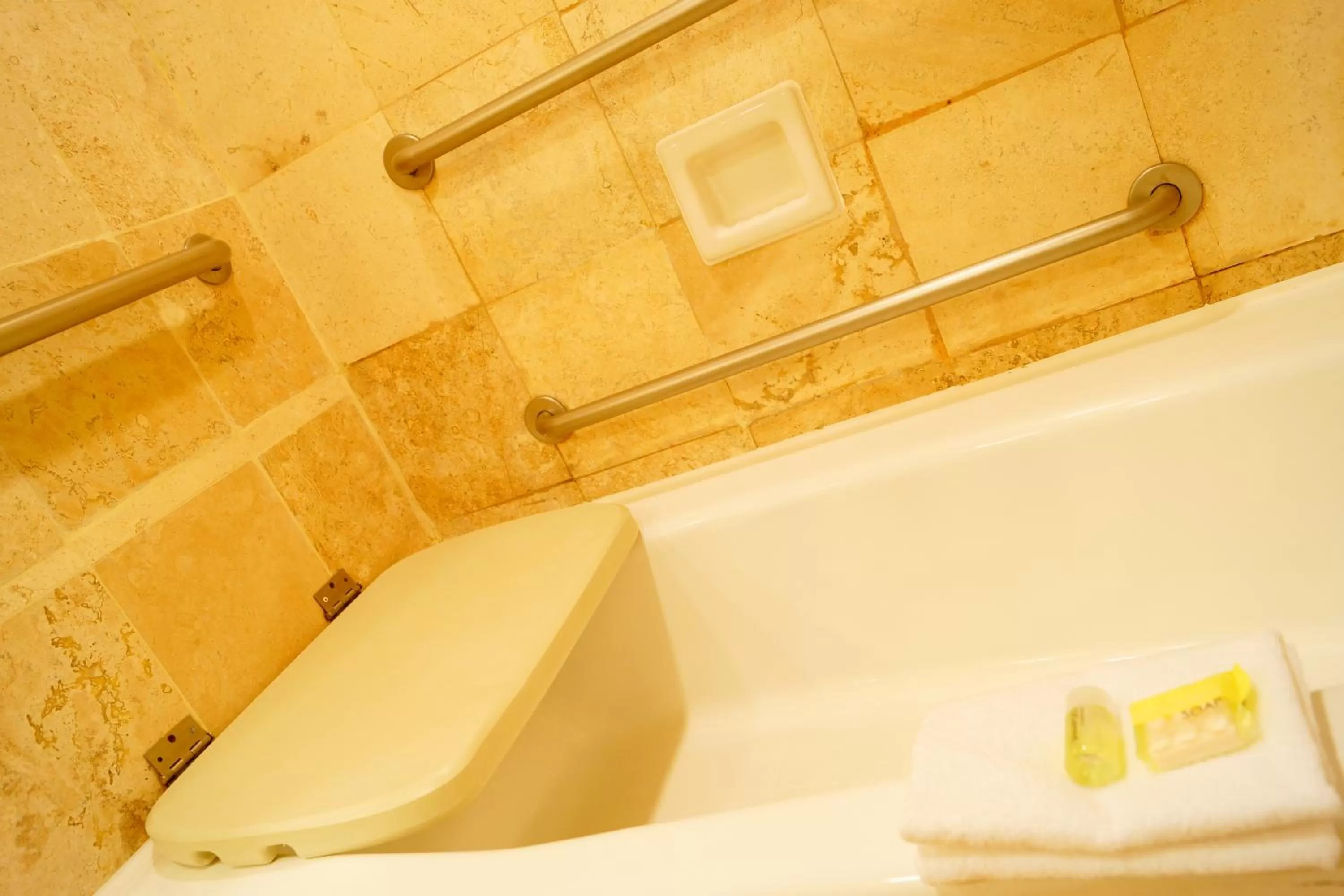 Bathroom in Holiday Inn Resort Acapulco, an IHG Hotel